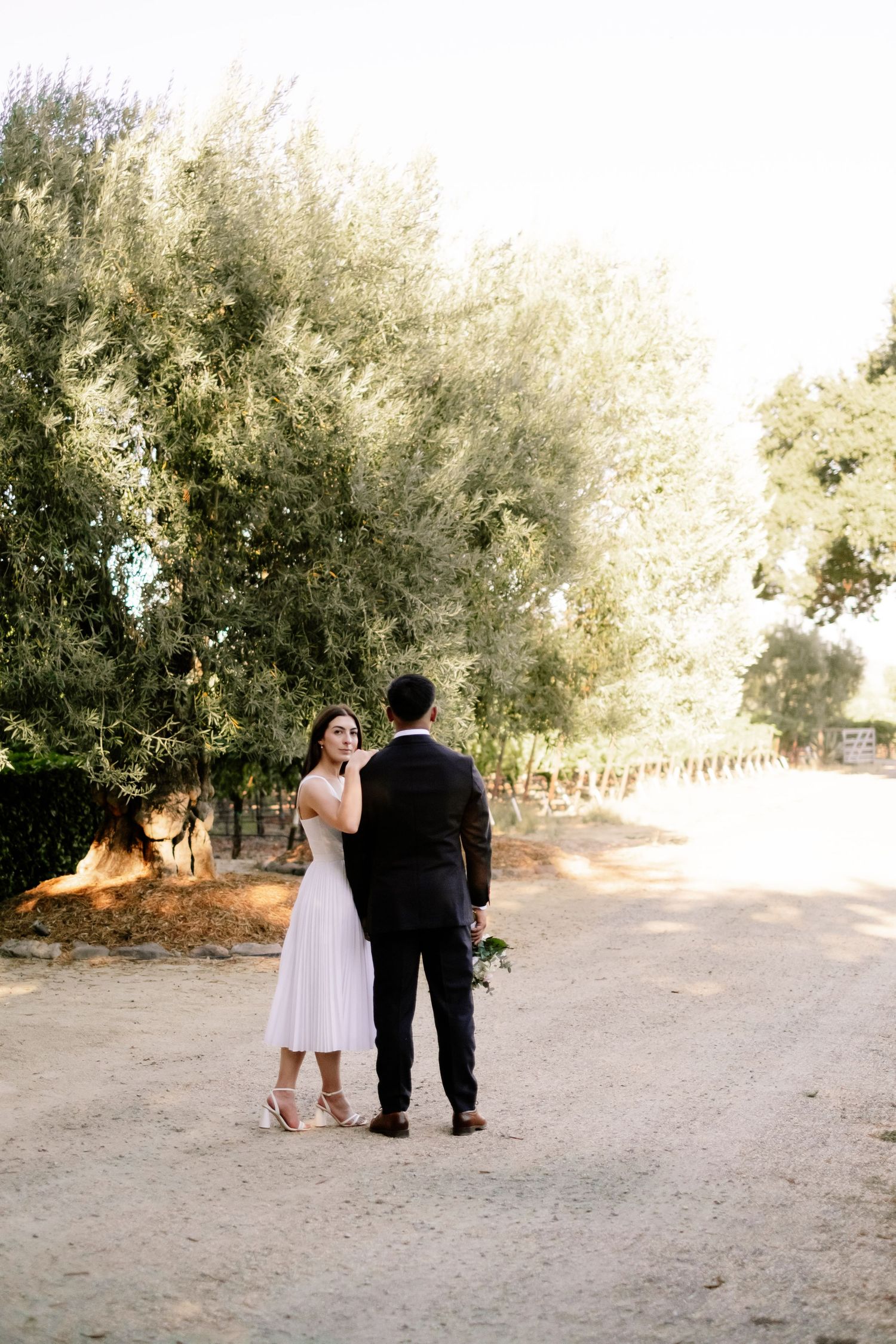 Bride and groom share a romantic moment on a sunlit gravel path surrounded by lush olive trees at a vineyard wedding.