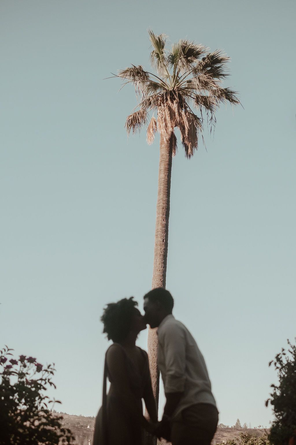 Silhouette of a couple sharing a kiss beneath a tall palm tree against a clear blue sky.