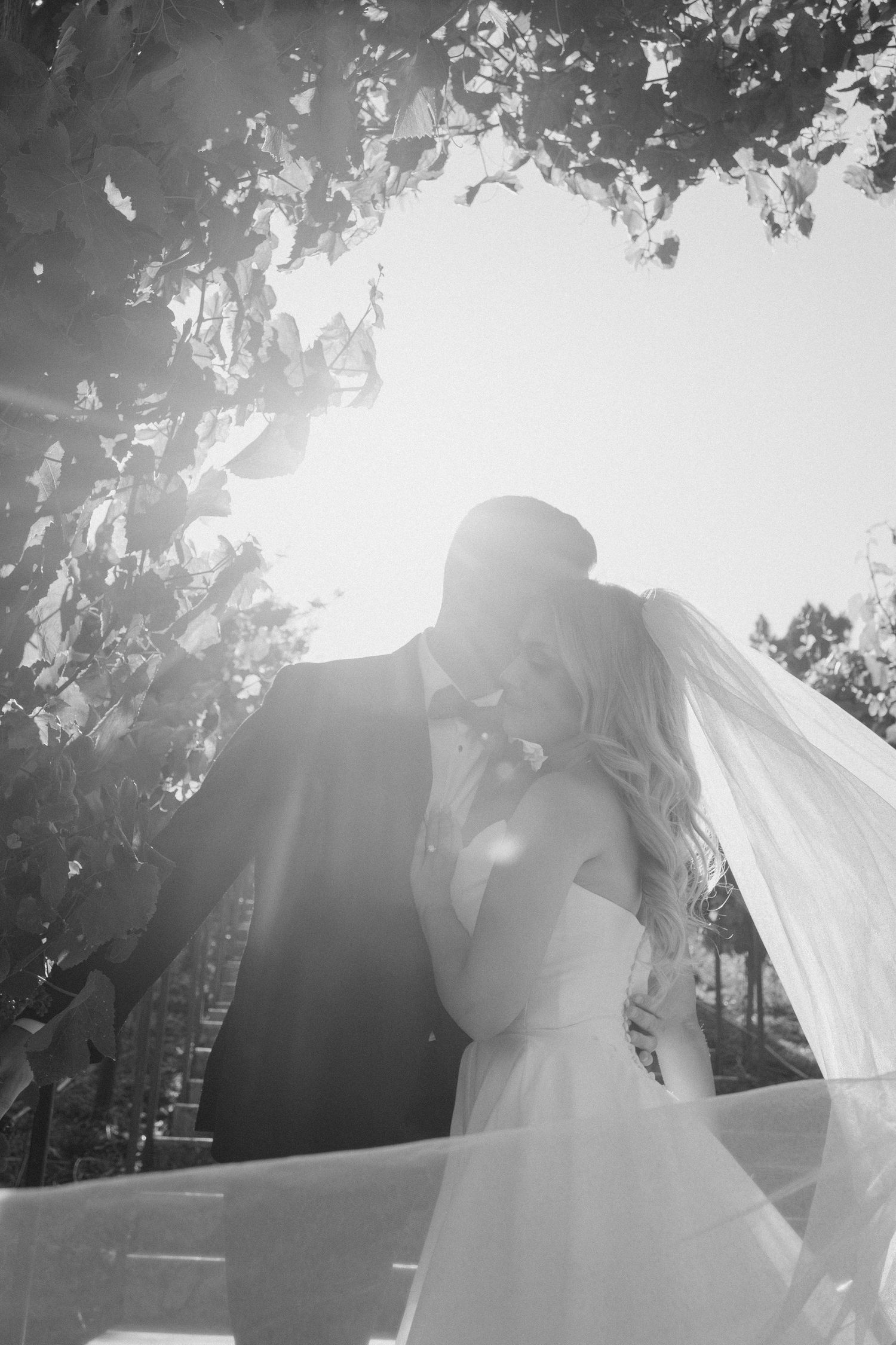 Black and white photo of bride and groom sharing a tender kiss beneath sunlit leafy branches.
