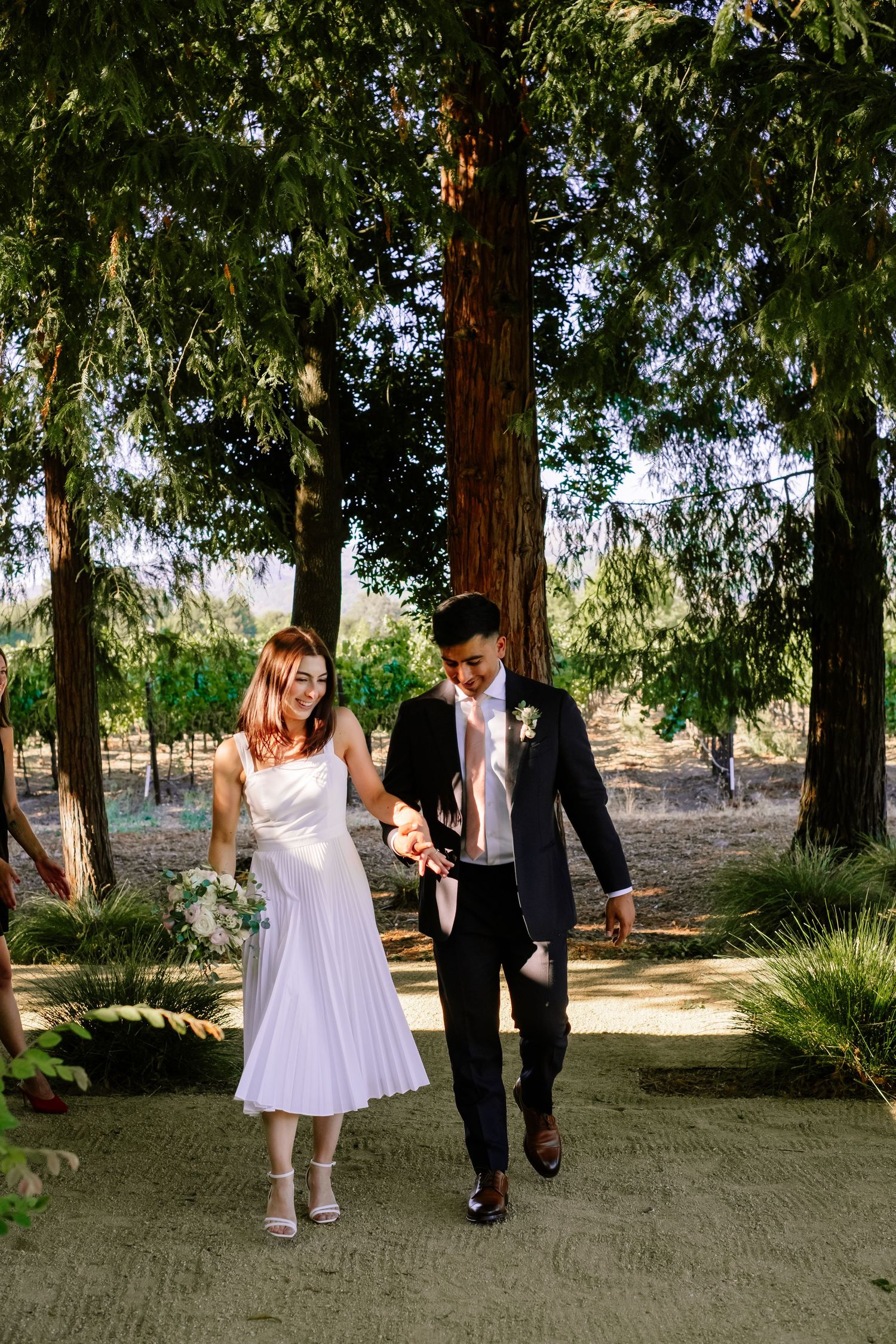 Newlyweds walking hand in hand through sun-dappled path surrounded by tall trees.