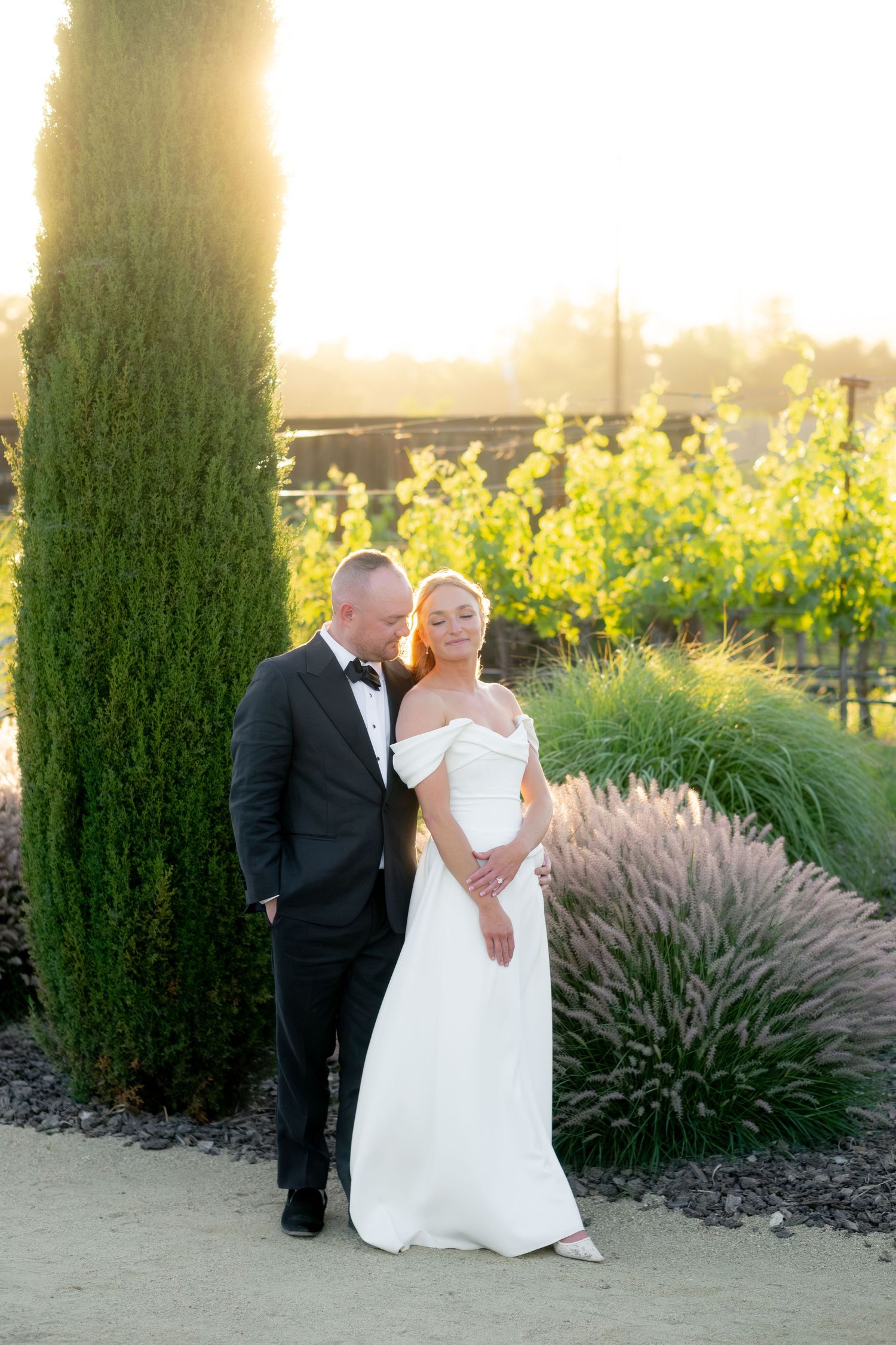 Bride and groom sharing a golden hour moment among cypress trees and vineyard rows at sunset.
