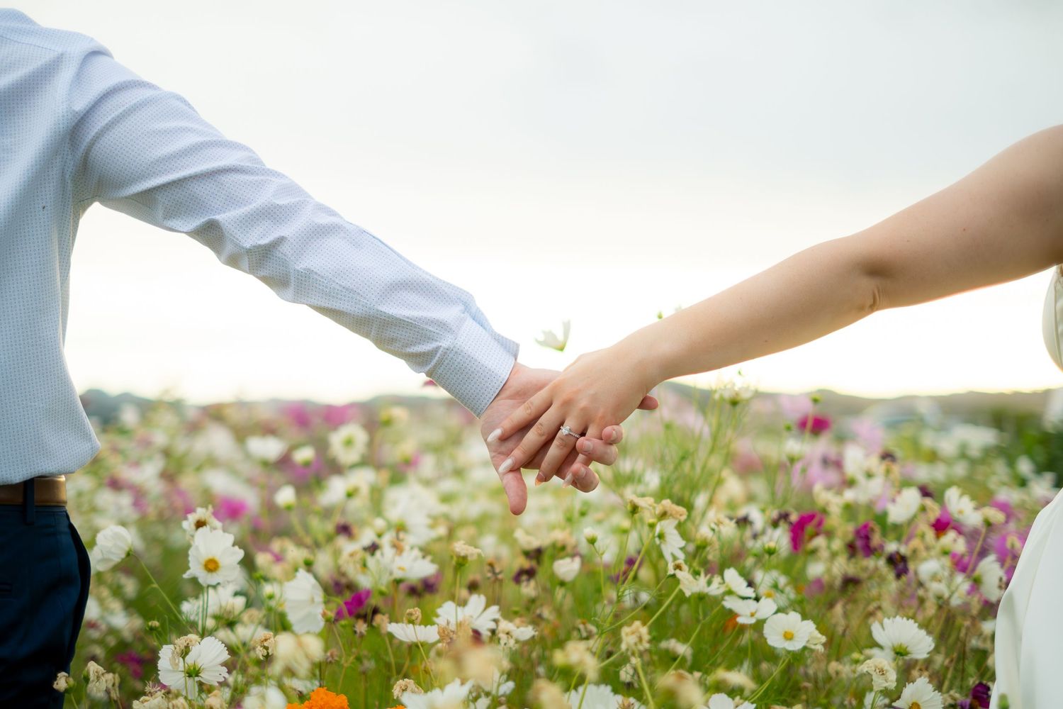 Couple holding hands in a blooming flower field with pink and white cosmos flowers during golden hour.