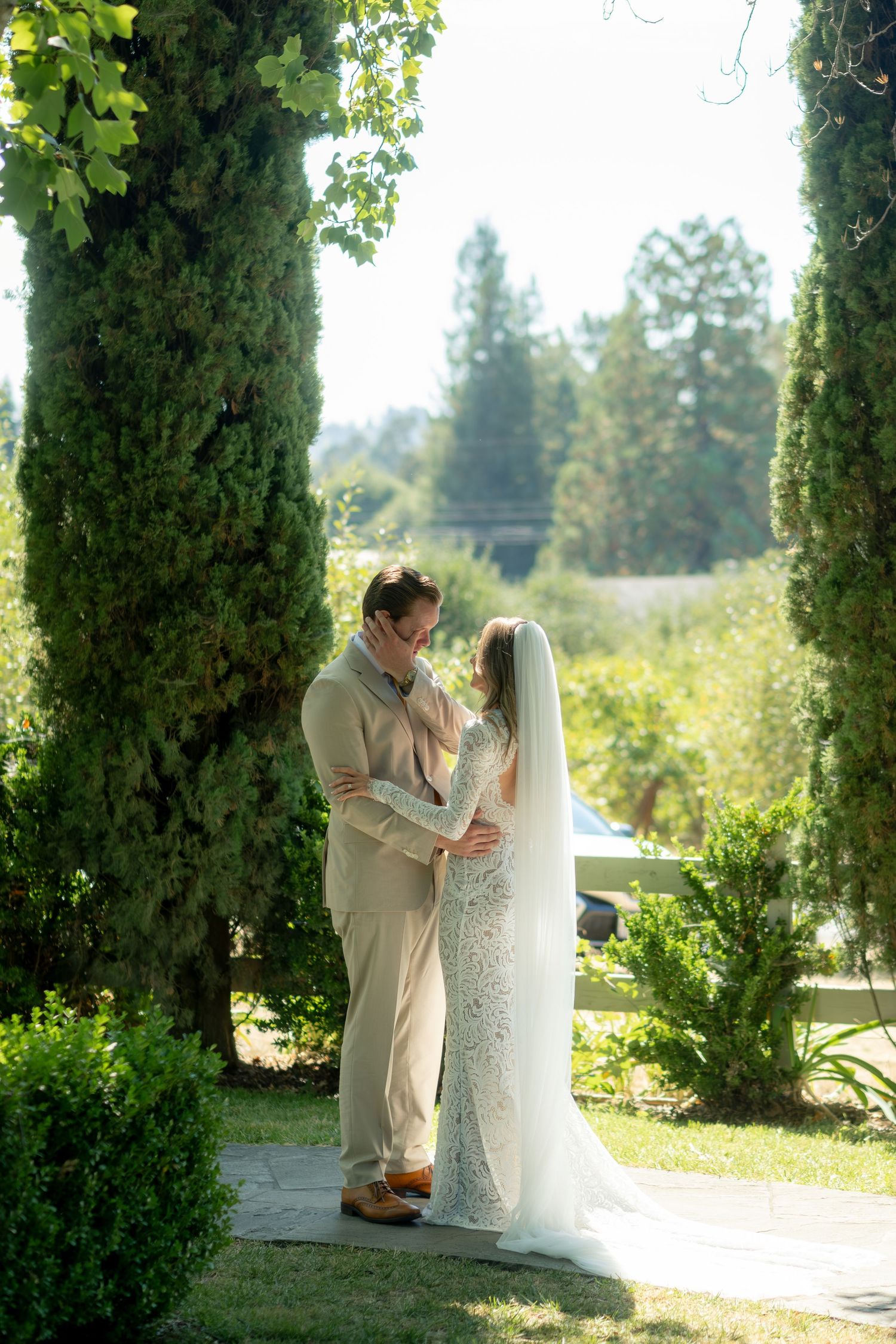 Bride and groom share romantic moment embracing under tall cypress trees in sunny garden.