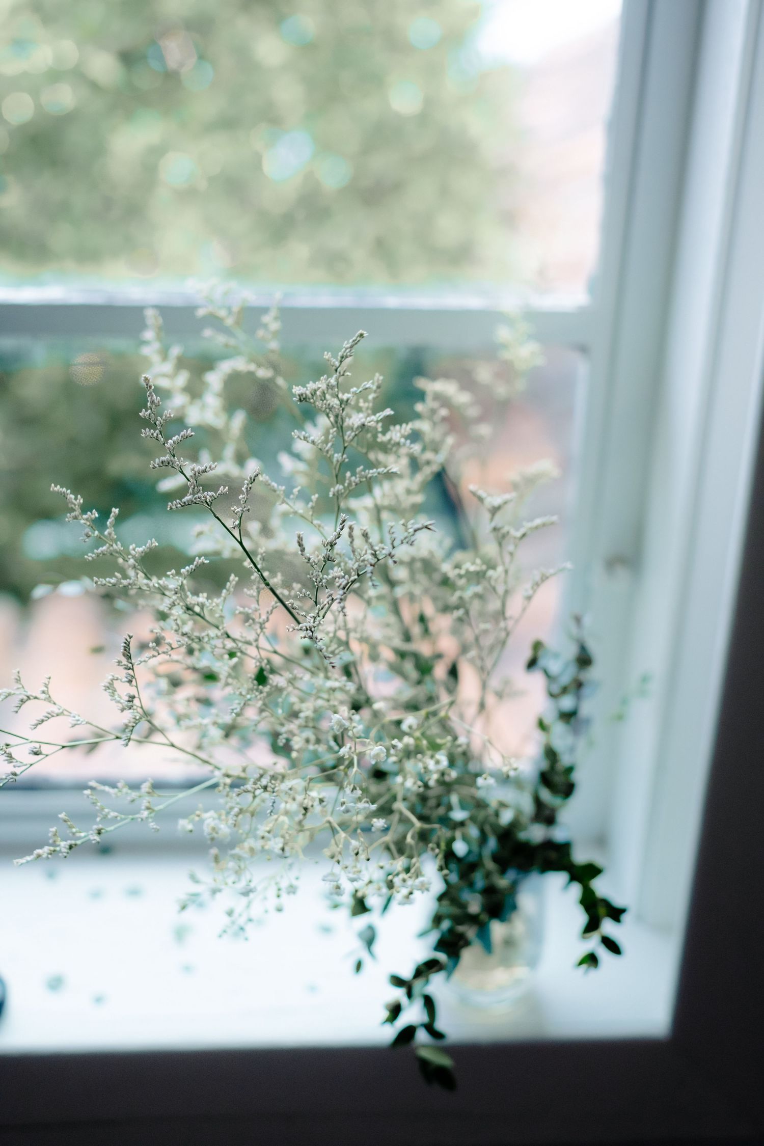 Delicate white wildflowers in a vase on a bright windowsill with soft natural light and green trees outside.