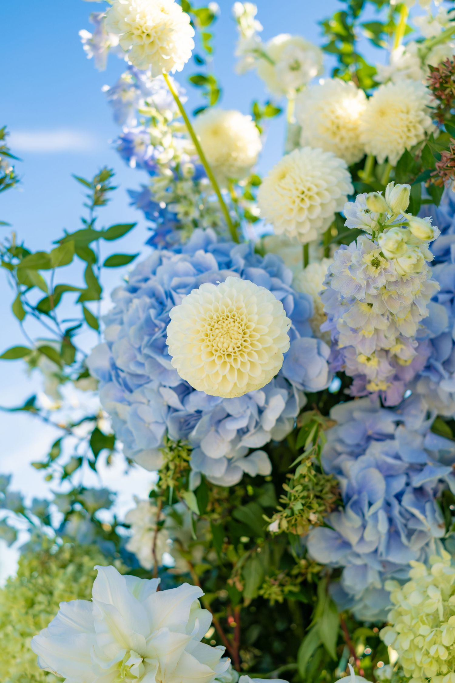 Close-up of elegant wedding floral arrangement featuring white dahlias and blue hydrangeas against blue sky.