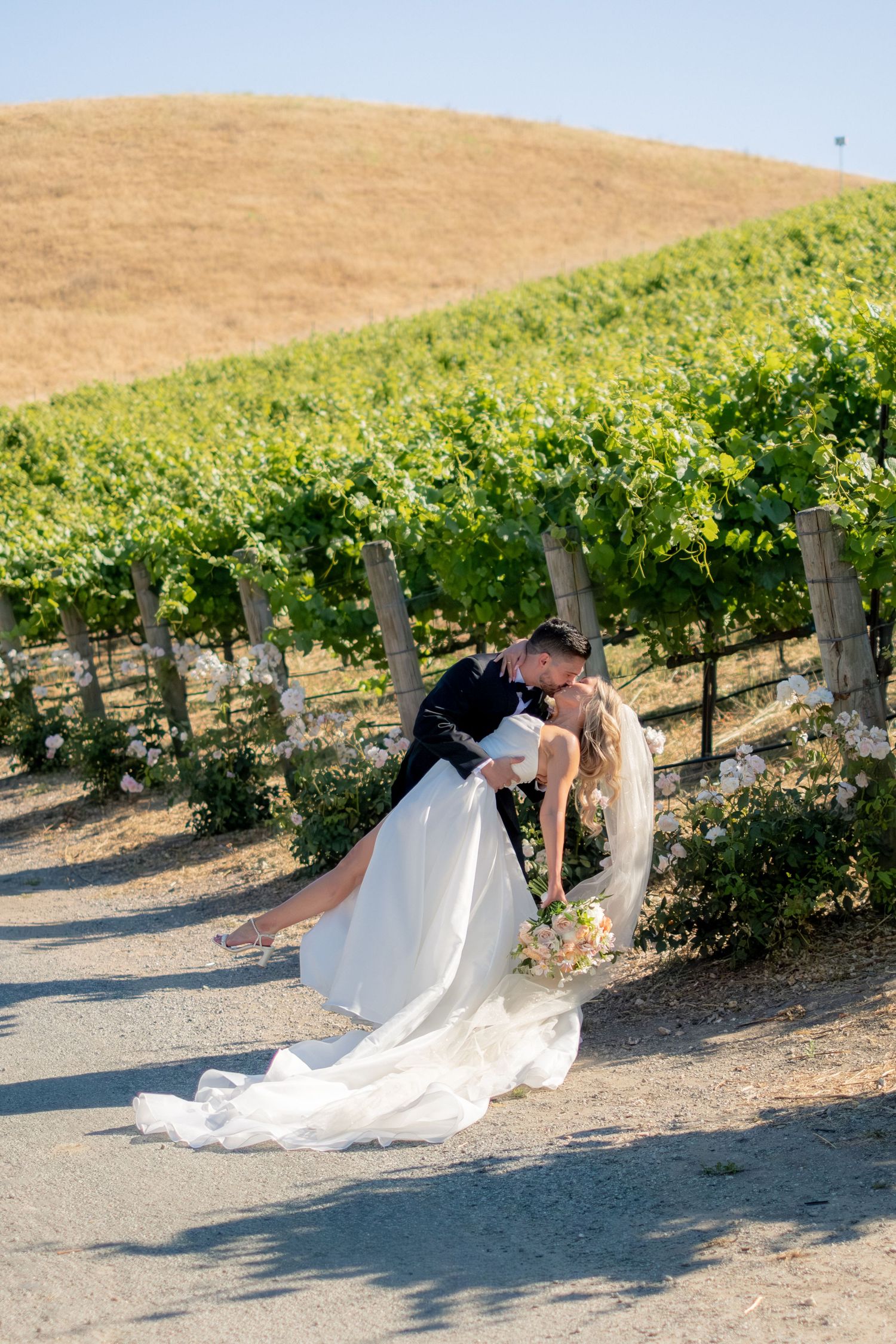 Bride and groom share a romantic dip kiss in front of lush green vineyard rows on wedding day.