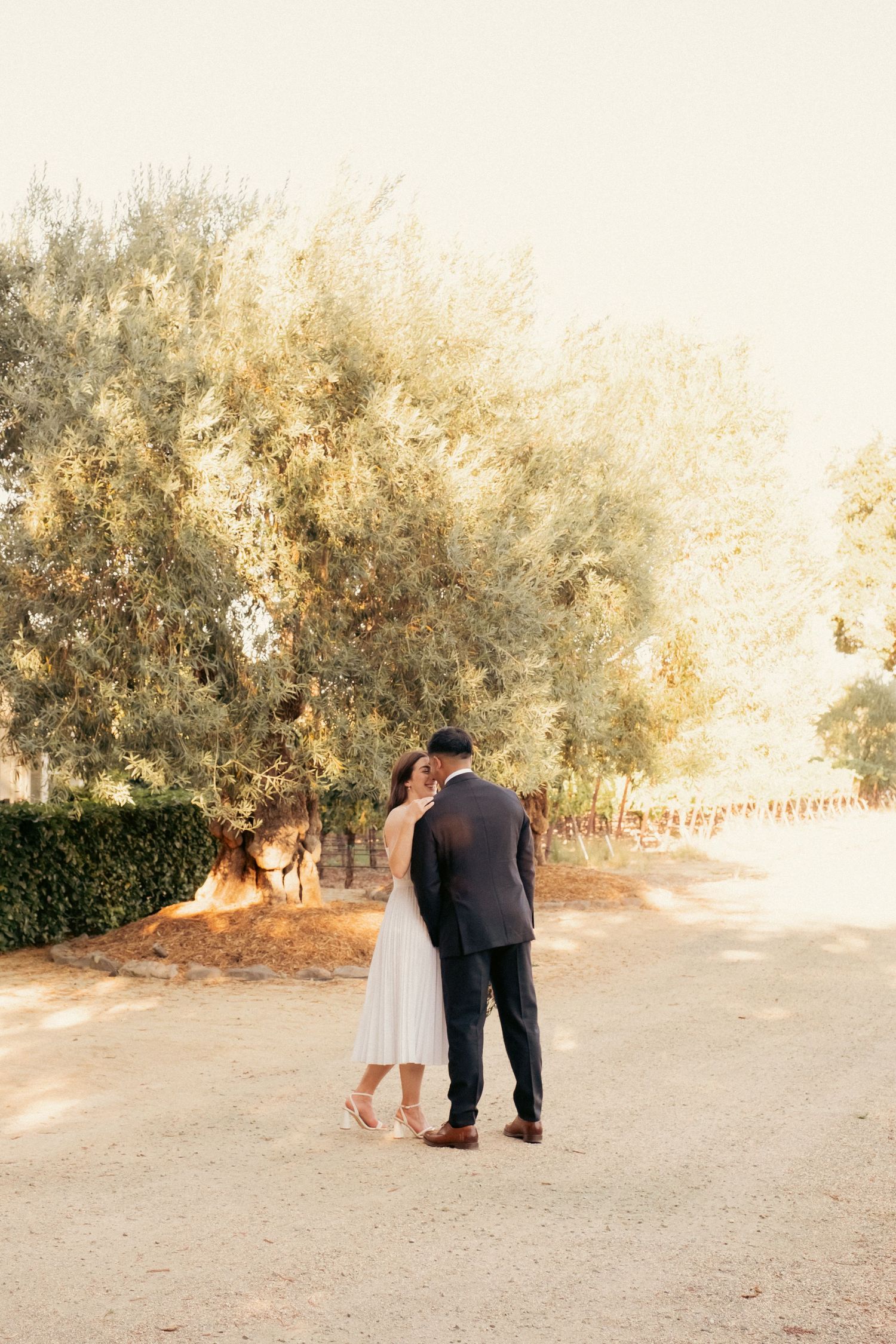 Bride and groom share tender kiss on sun-drenched gravel path lined with silver-green olive trees.