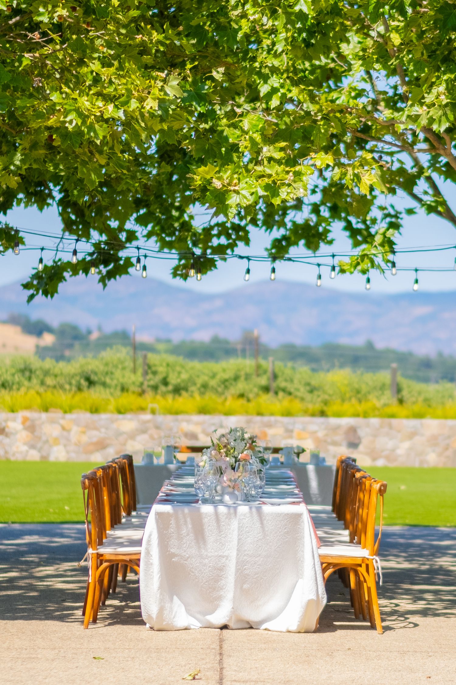 Elegant outdoor dining table with white linen under green trees, string lights, and vineyard mountain views.