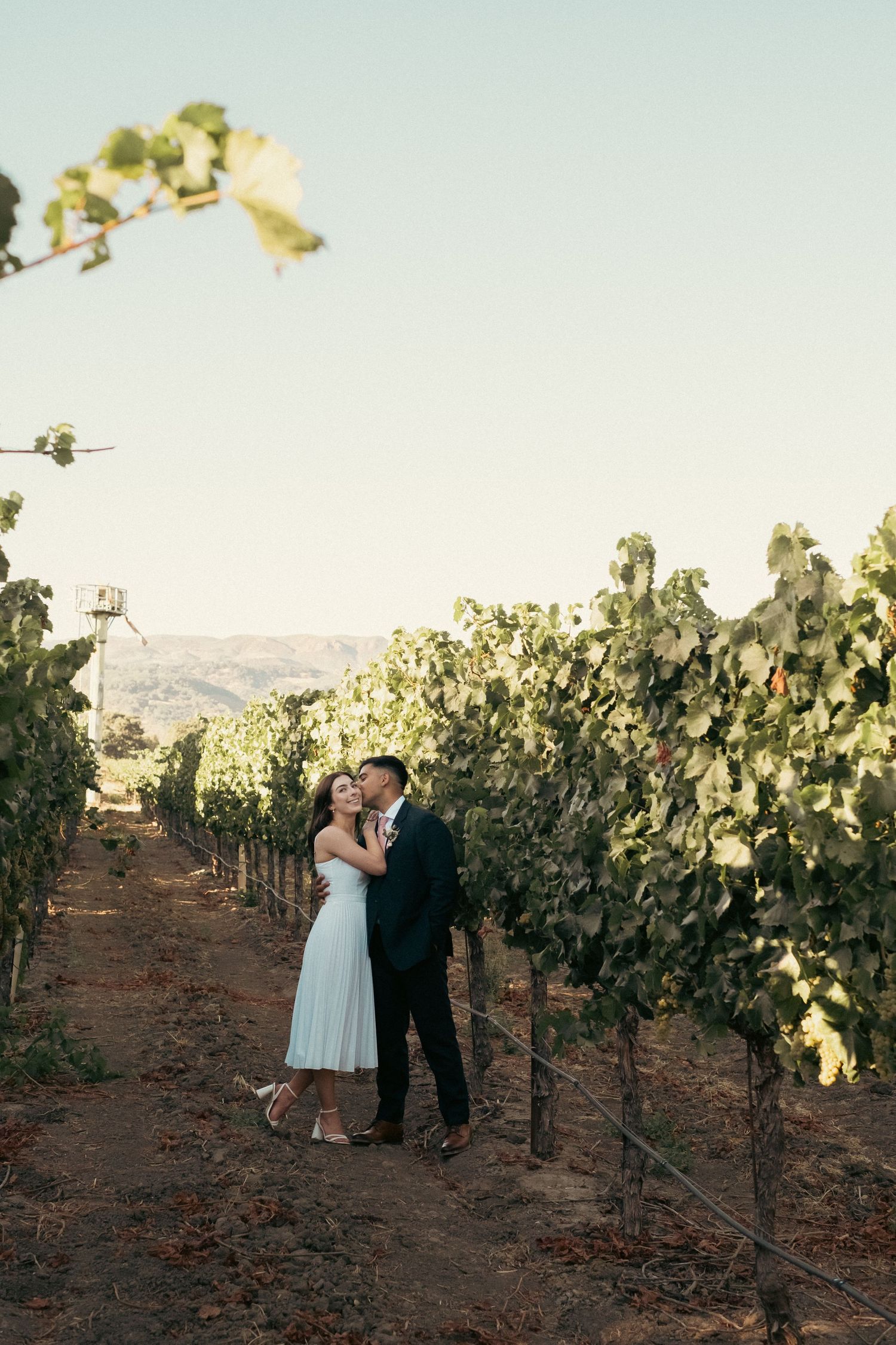 Couple shares romantic kiss among lush green vineyard rows with mountain views at golden hour.