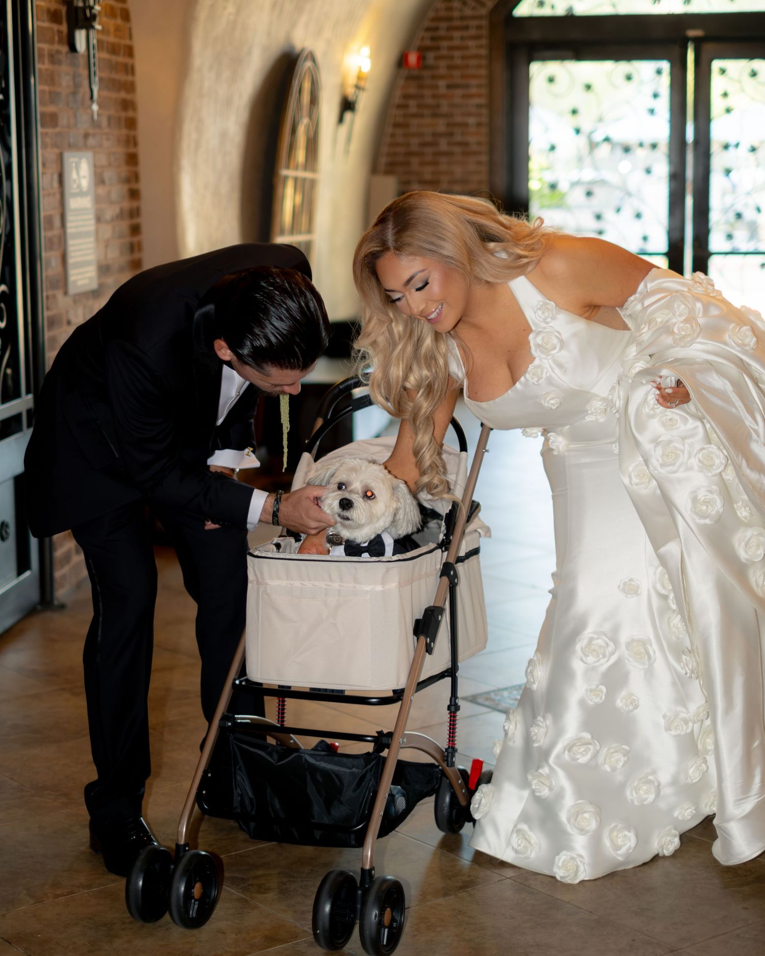 Bride and groom lean over to greet their small white dog dressed in a tuxedo in a pet stroller.
