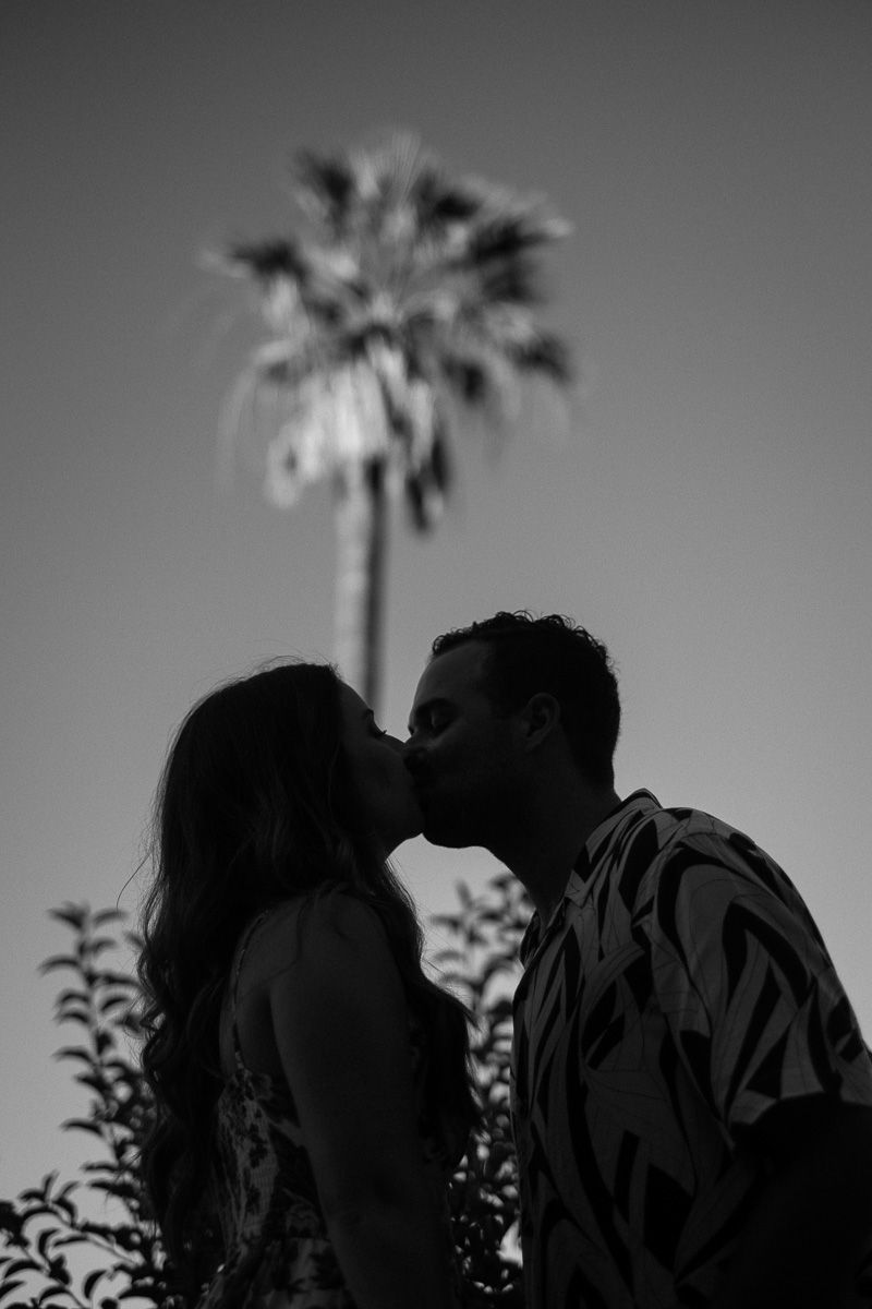 Romantic black and white silhouette of couple kissing under a palm tree at dusk.