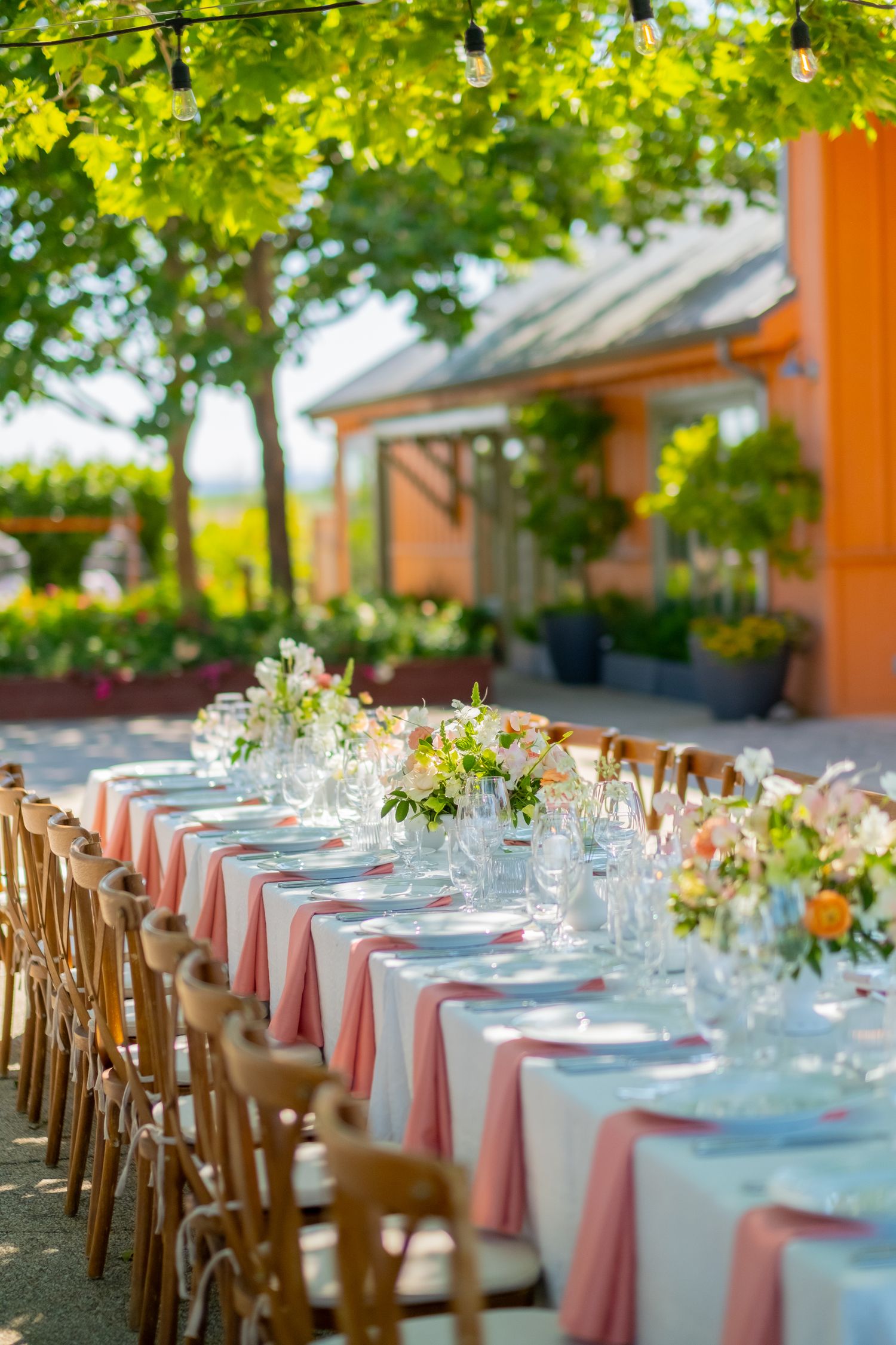 Elegant outdoor wedding reception with long table set with pink napkins, floral centerpieces, and string lights under green trees.