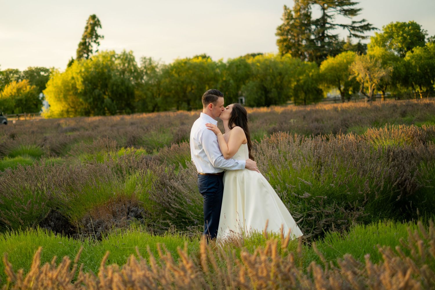 Couple sharing a romantic kiss in a blooming lavender field at golden hour with lush green trees in the background.