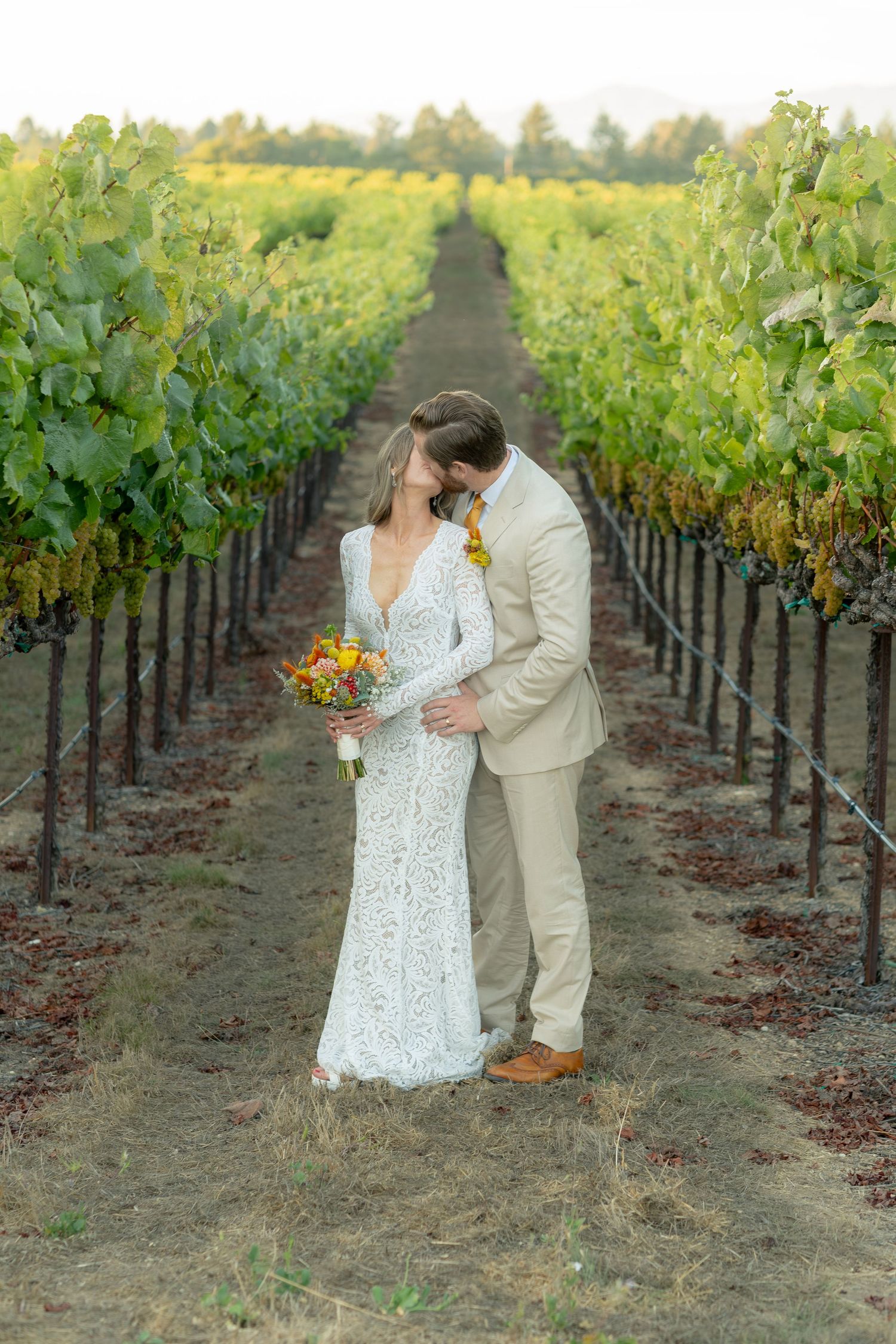 Bride and groom embracing romantically between rows of grapevines in a vineyard at sunset.