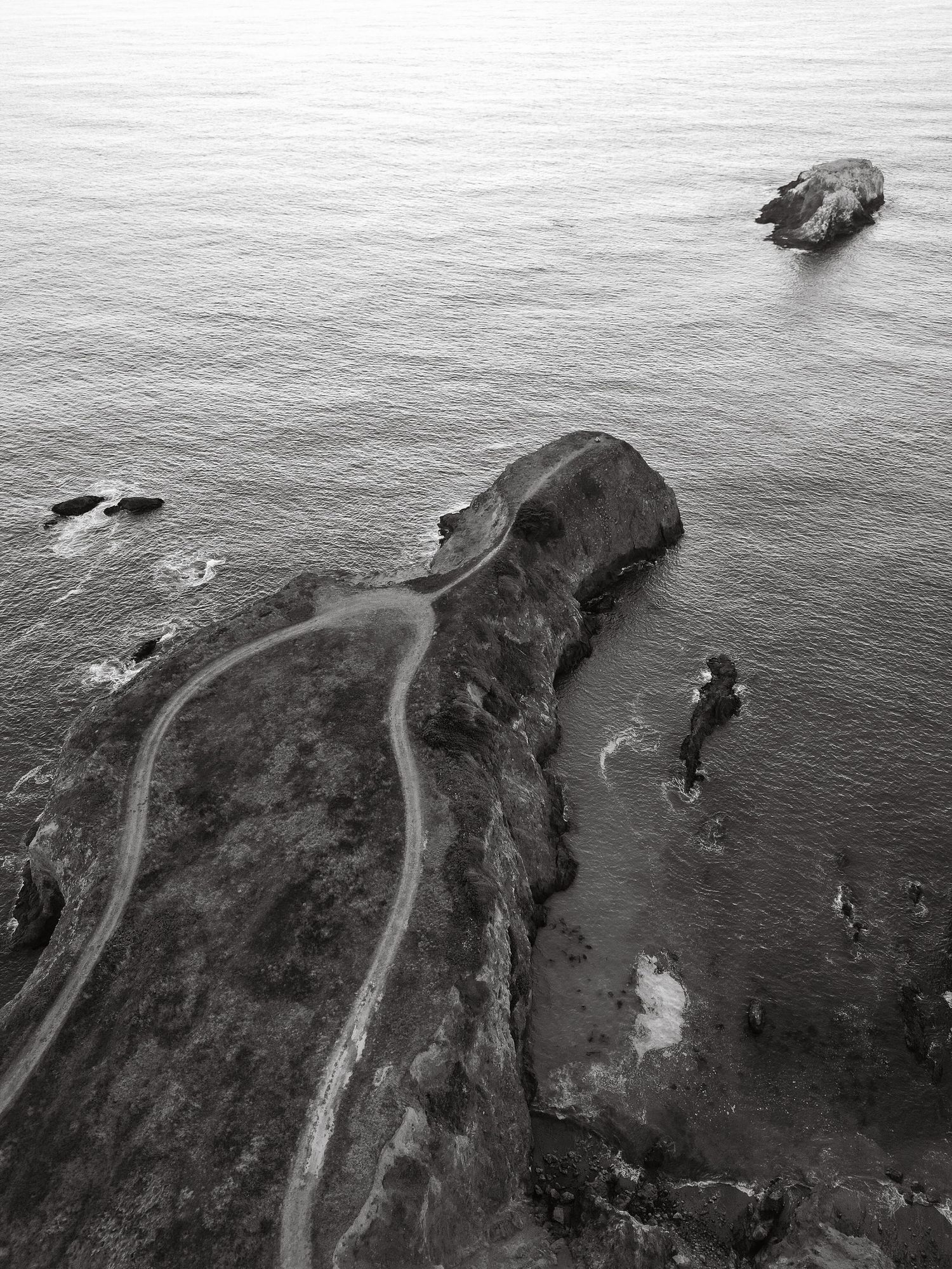 Aerial black and white photo of rocky coastal peninsula jutting into calm ocean waters.