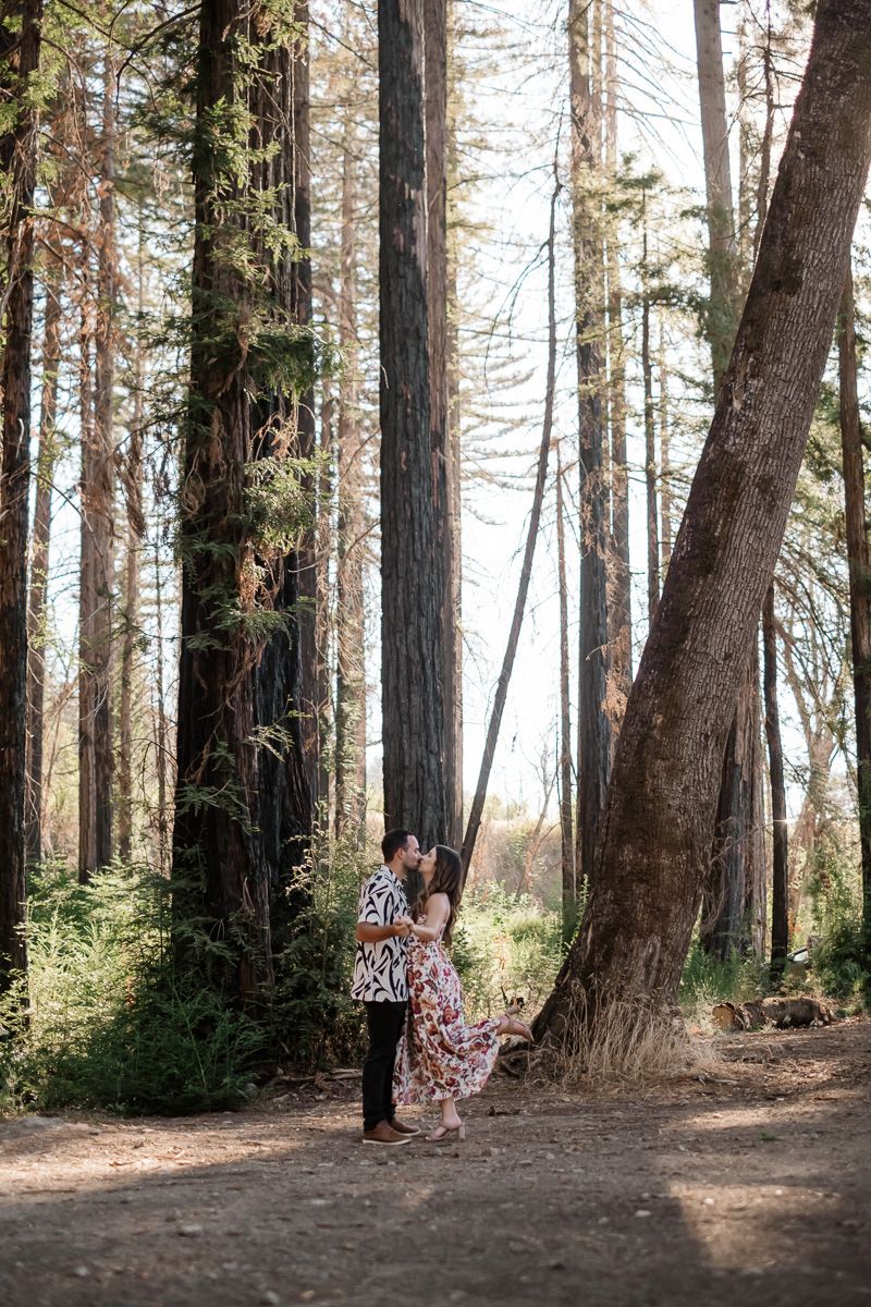 Couple sharing a romantic embrace among tall redwood trees in a sunlit forest.