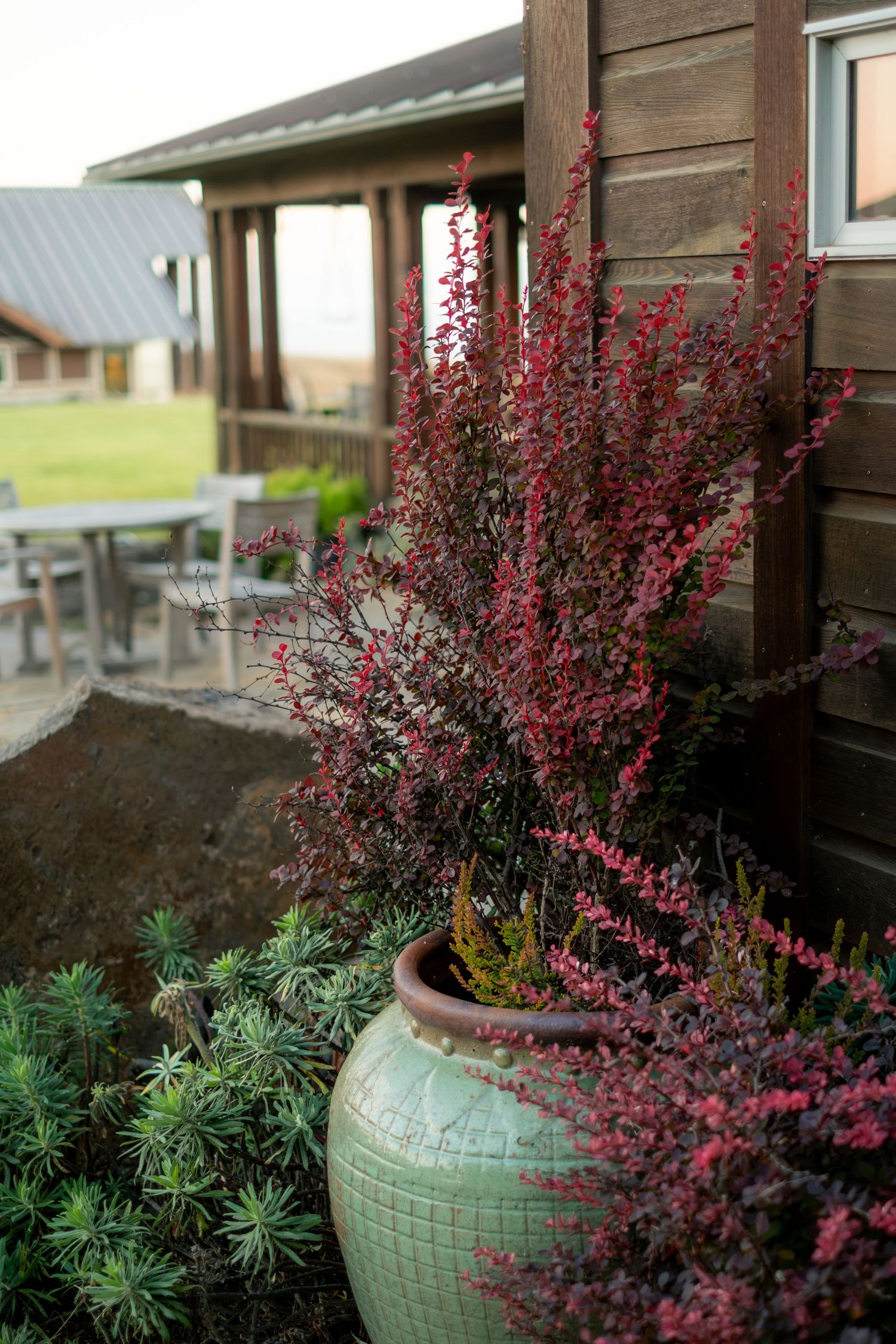 A large green ceramic pot with red flowering shrubs beside a rustic wooden building with an outdoor patio.