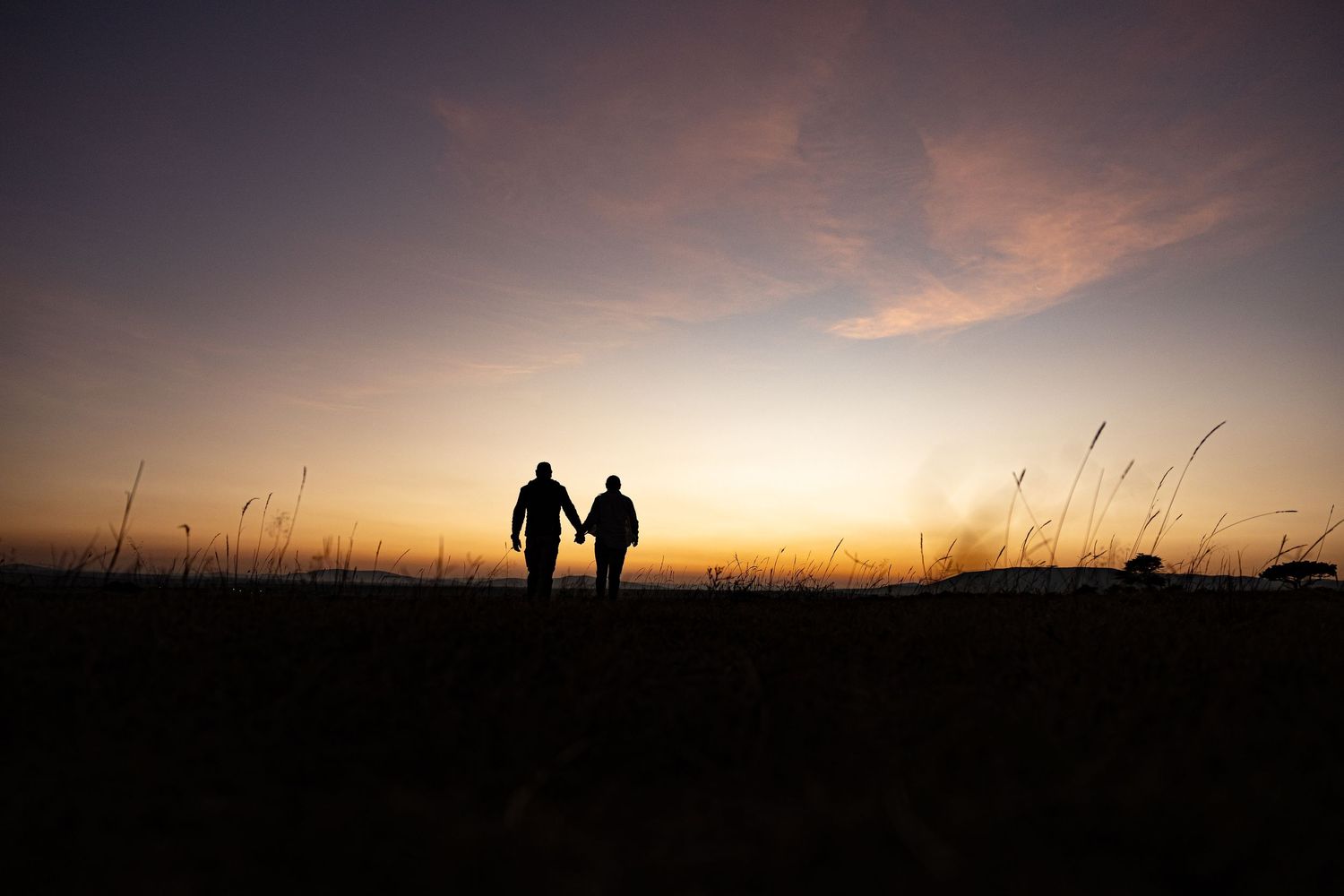 Two silhouettes walk together against a dramatic sunset sky with tall grass in the foreground.
