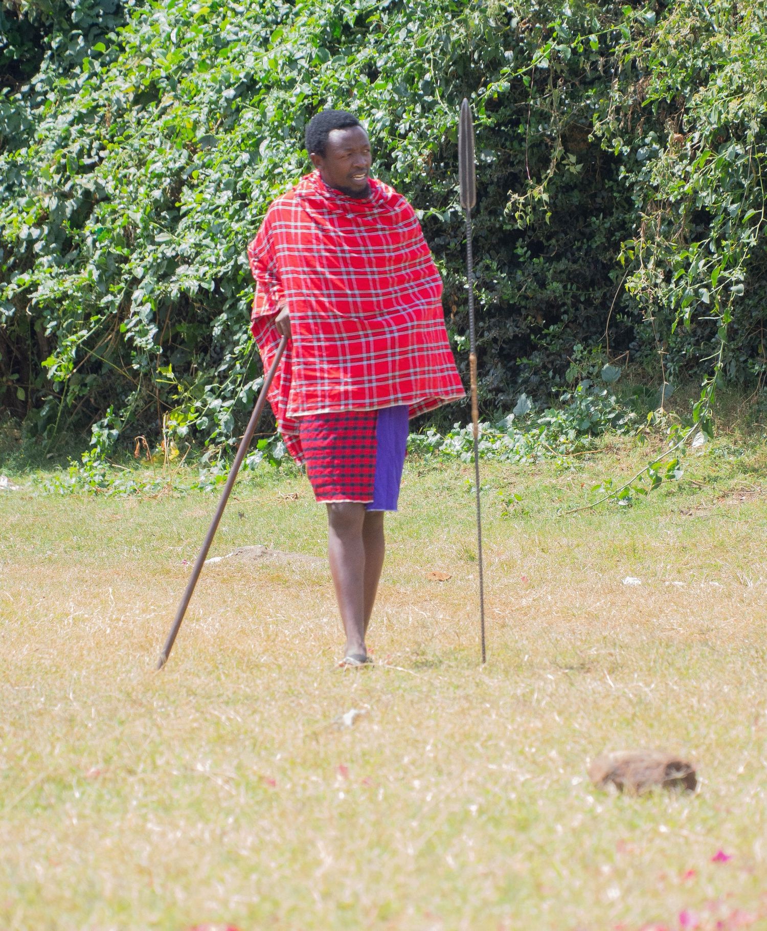 People in red plaid clothing walking through sunny meadow with walking sticks.