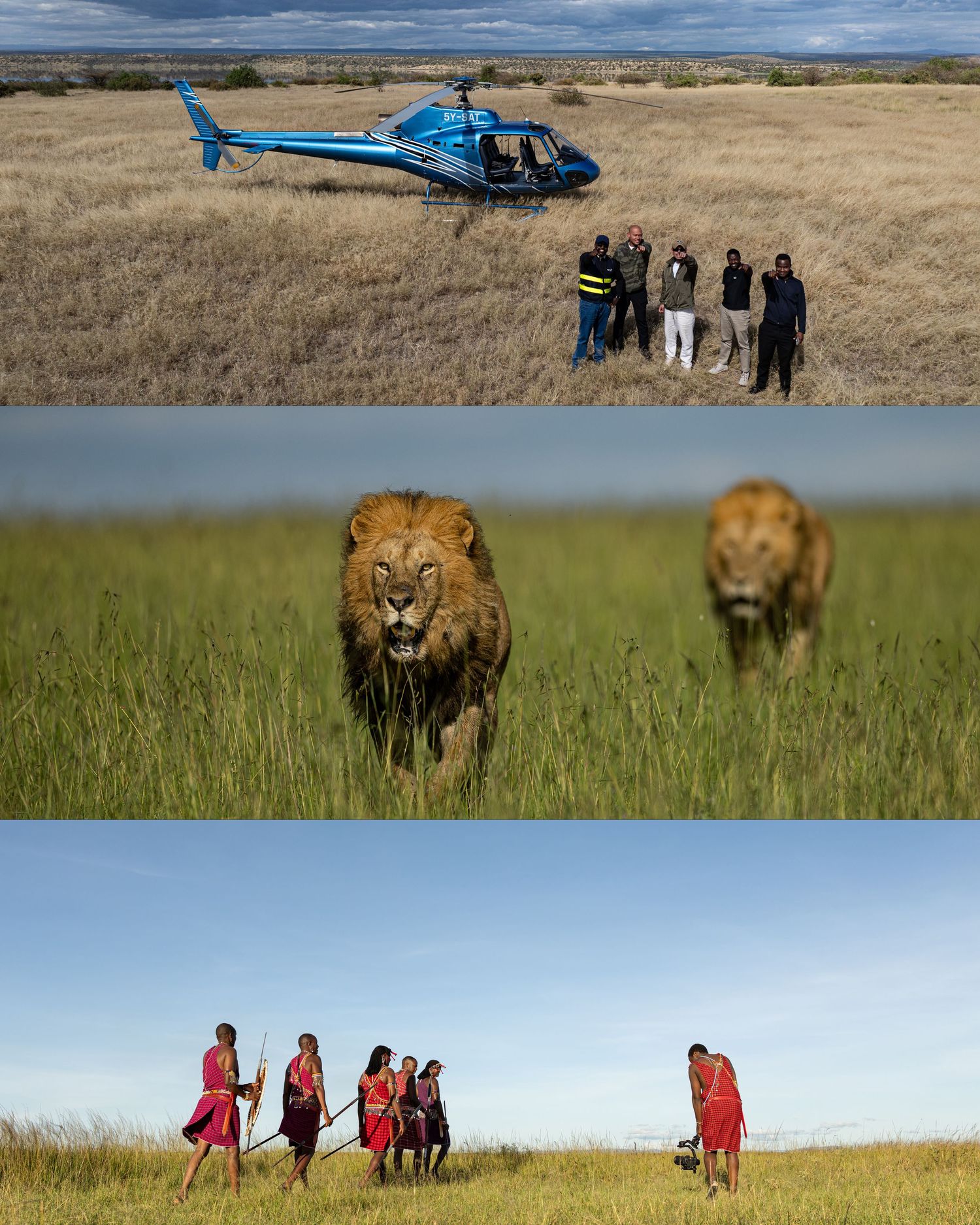 Three-panel collage of African safari scenes: helicopter landing, two lions in tall grass, and Maasai warriors in red robes walking.