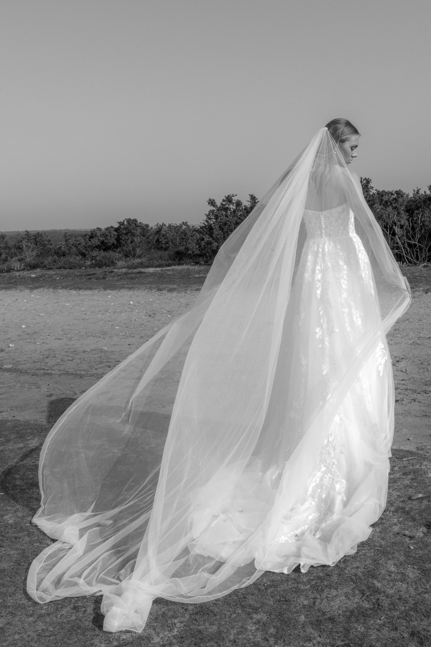 Bride in flowing white ball gown with dramatic cathedral veil blowing in wind against outdoor landscape.