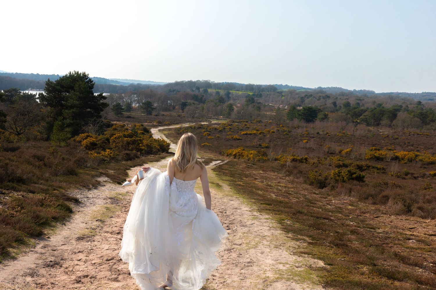 Bride in white wedding dress walking along a sandy path through heathland with yellow gorse bushes on a sunny day.