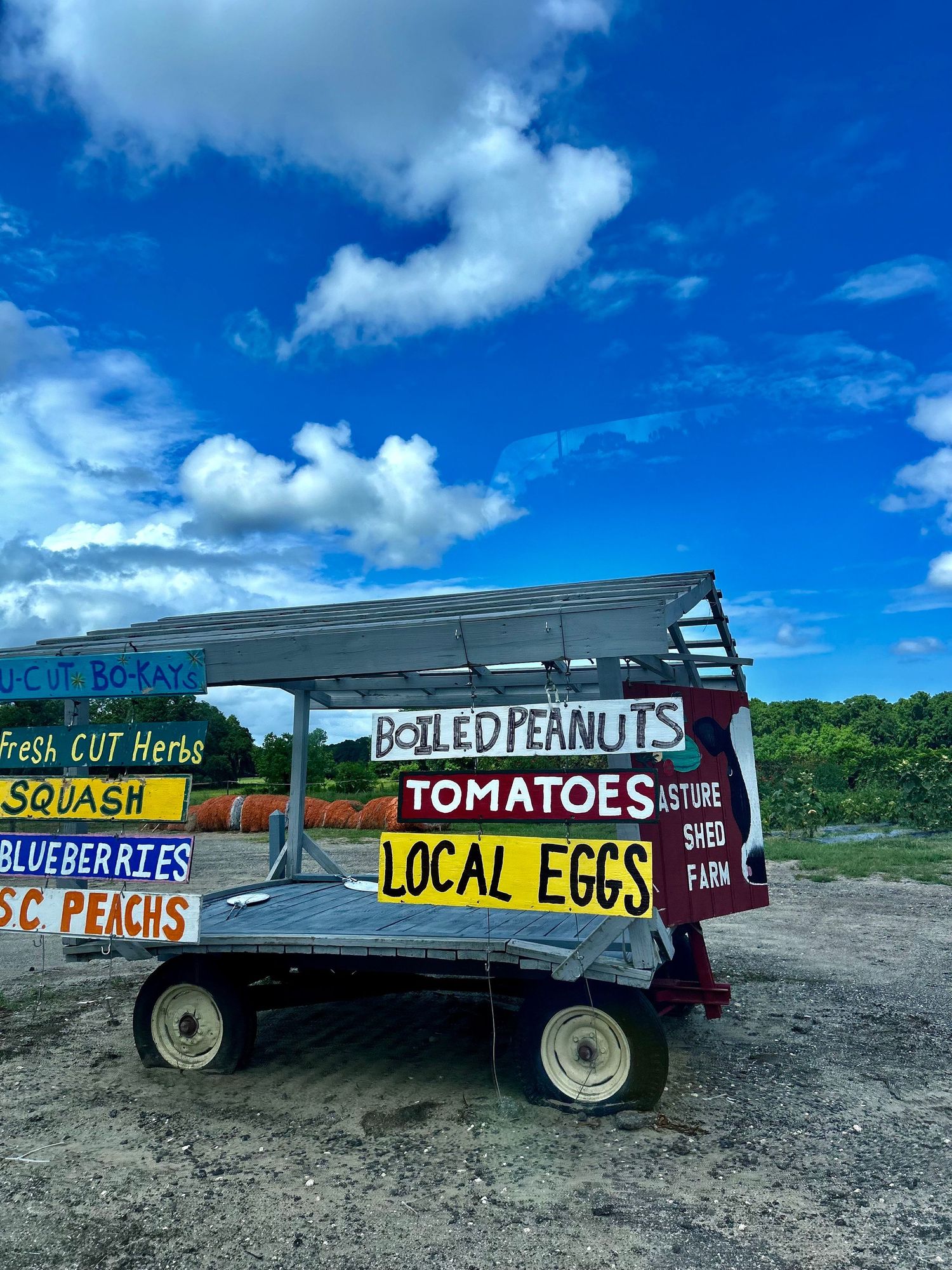 A rustic farm stand wagon displaying signs for boiled peanuts, tomatoes and local eggs against a vibrant blue sky.