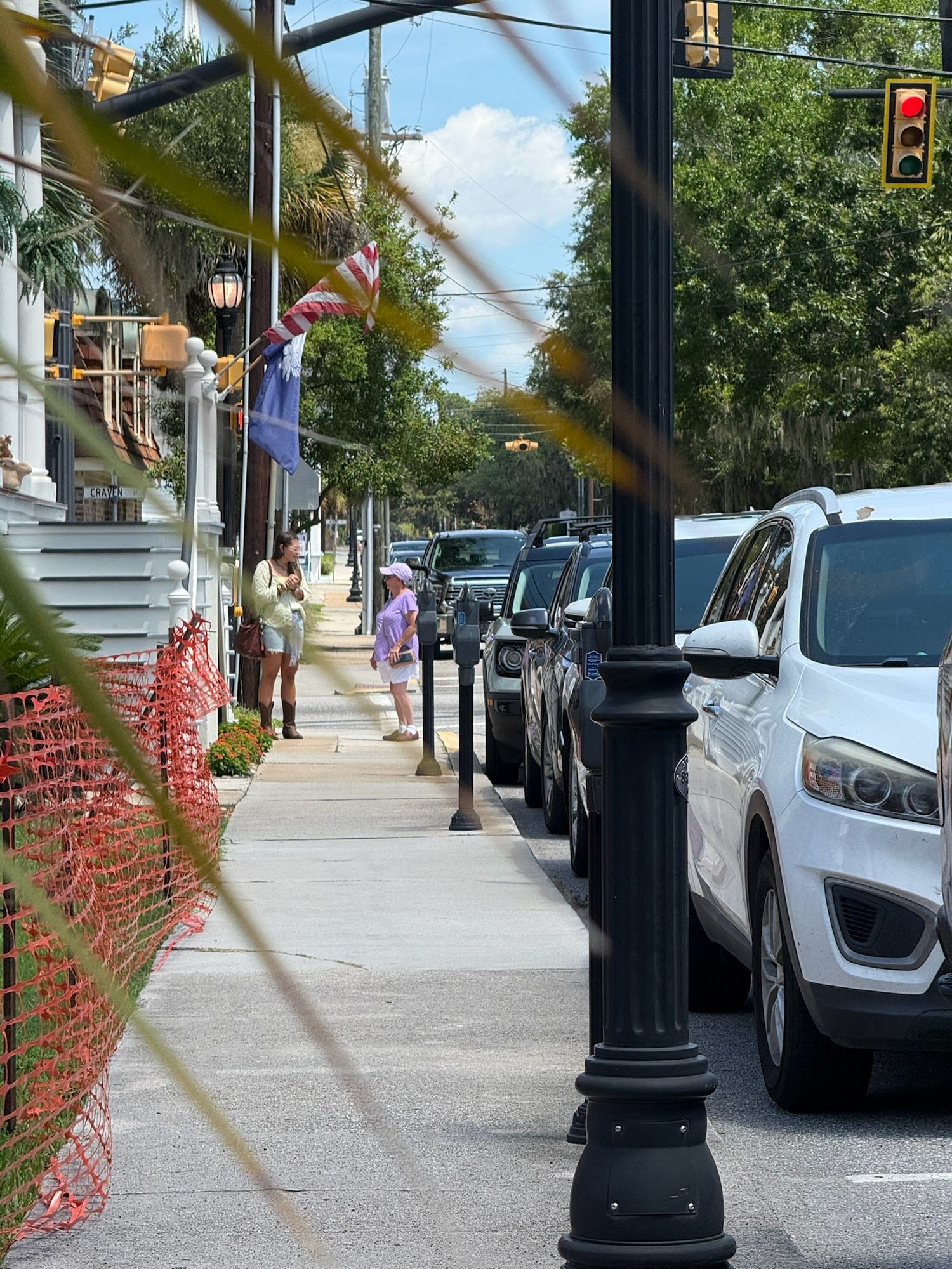 Parked cars line a downtown street with decorative lampposts and red flowering plants along the sidewalk.