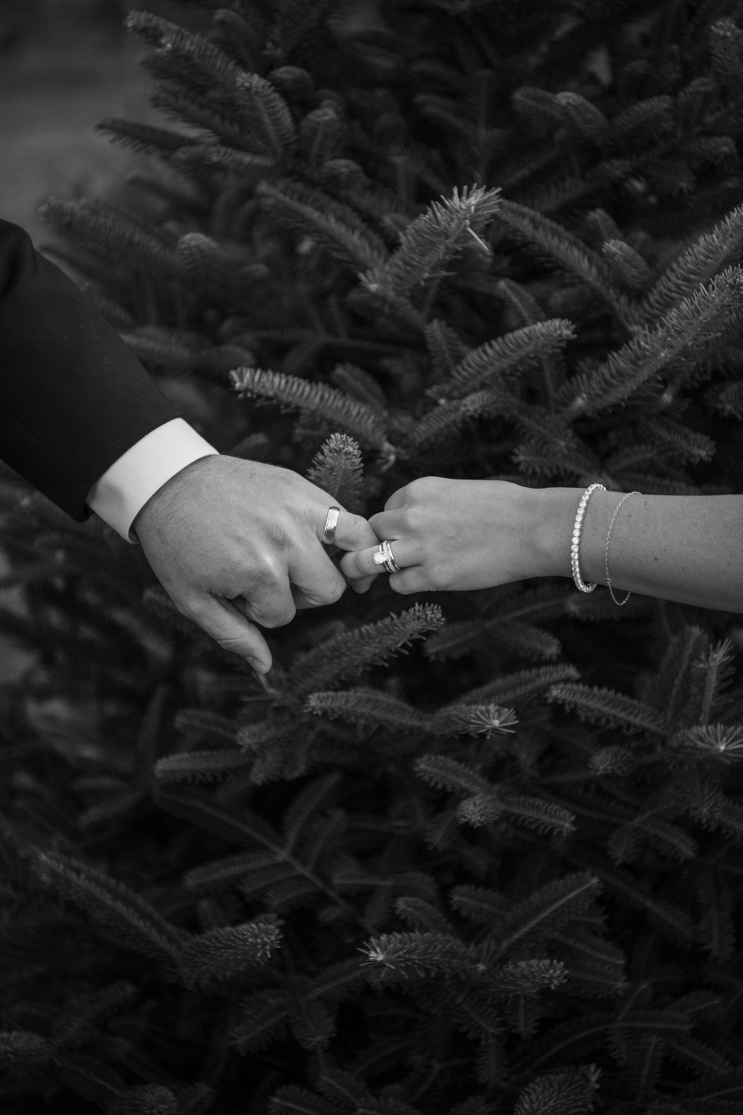 Close-up black and white photo of hands exchanging rings against evergreen branches.