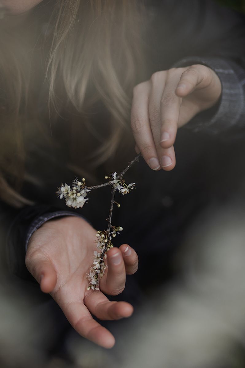 woman's hands holding blooming tree during her photoshoot in Galway