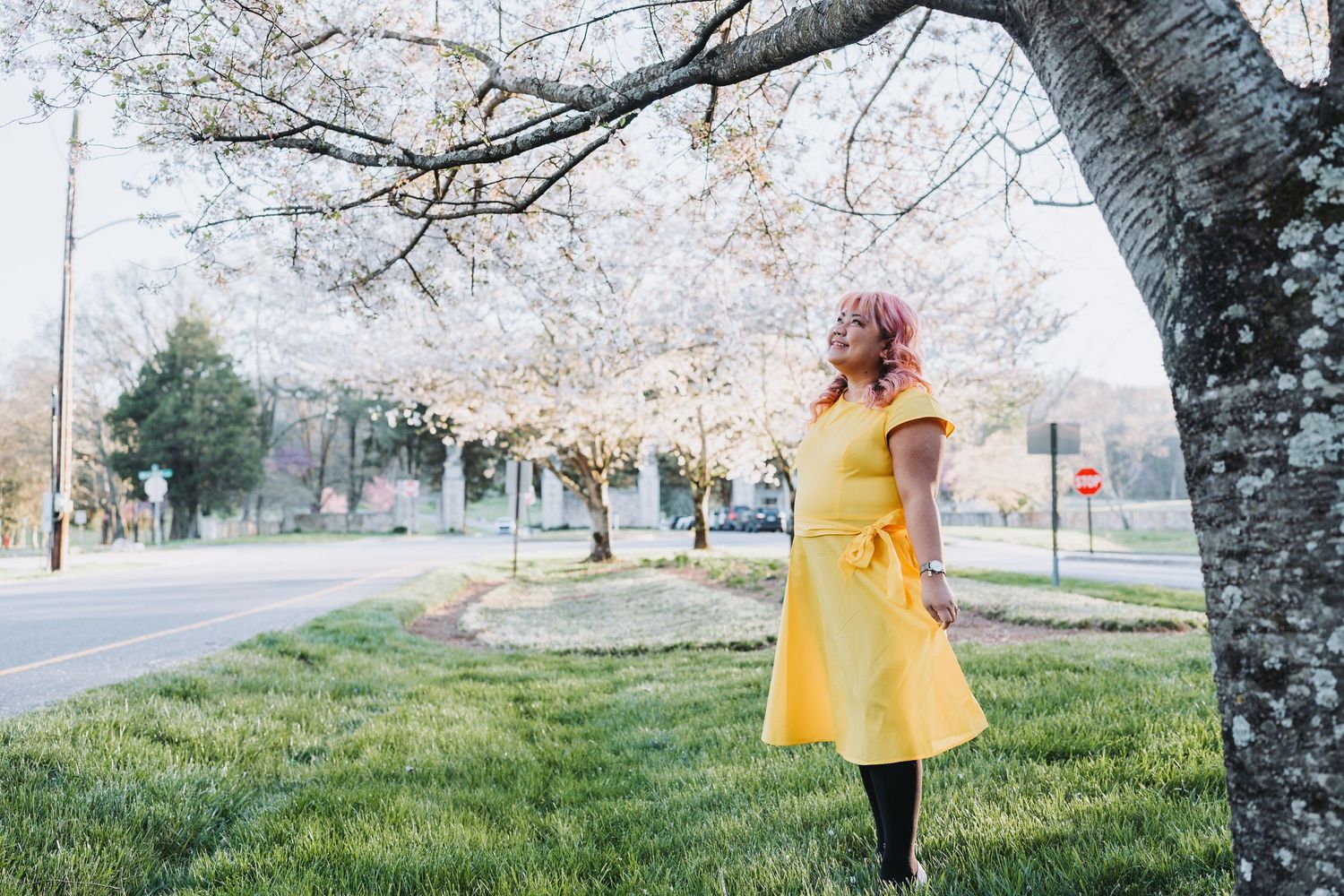 A person in a bright yellow coat stands under blooming cherry blossom trees.