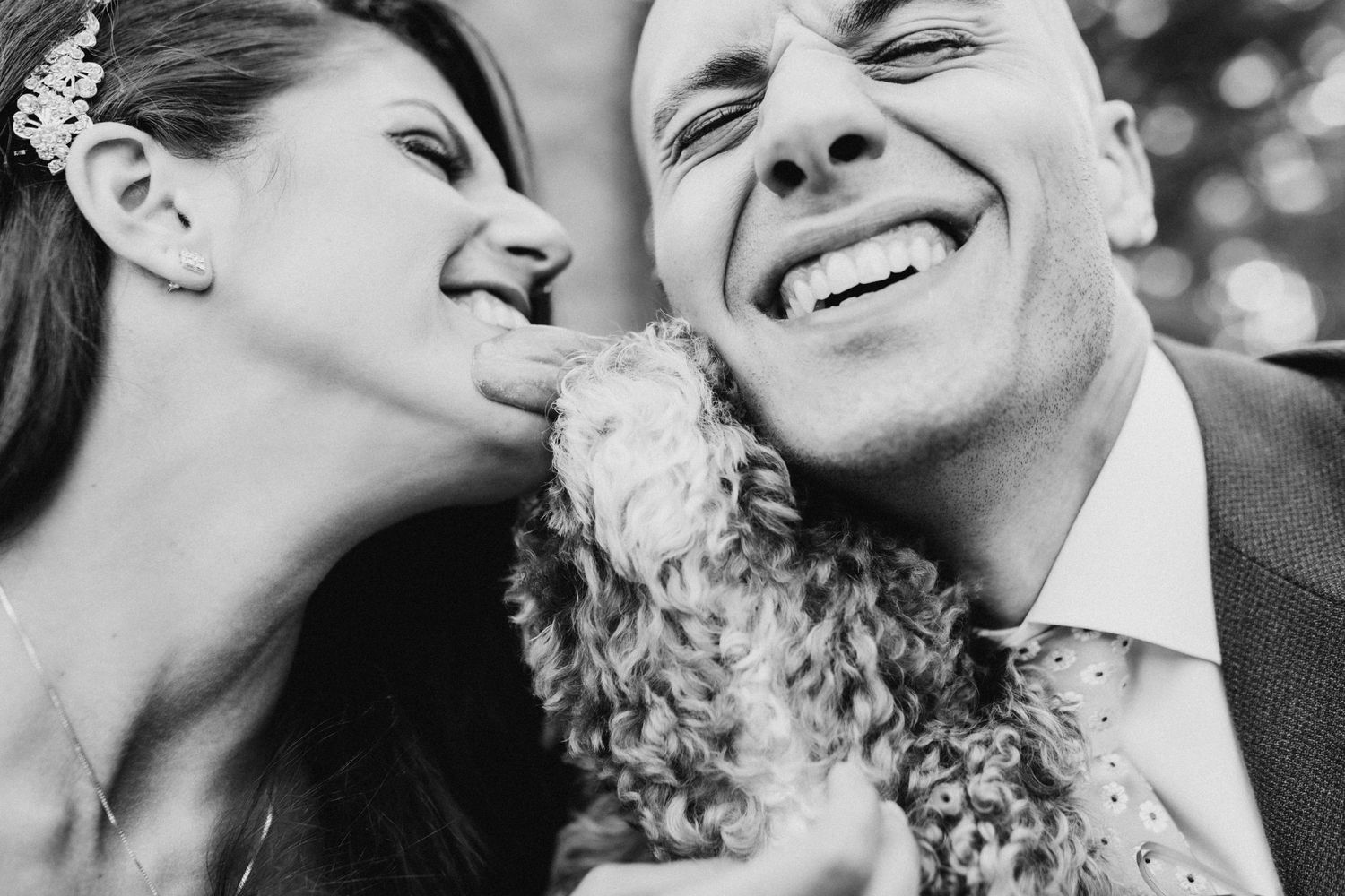 A joyful black and white portrait of a couple laughing together as their small curly-haired dog joins in between them.