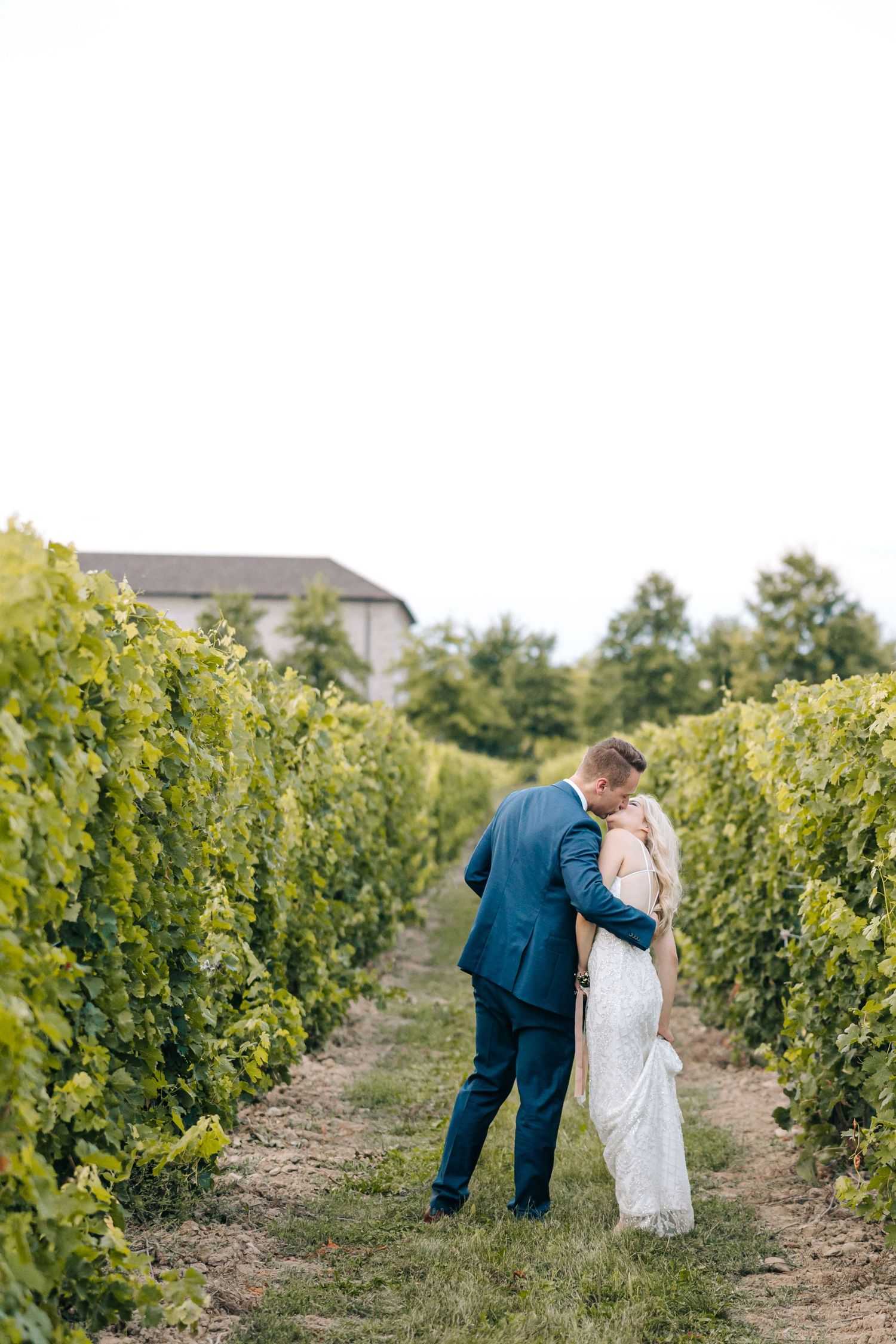 A couple dressed in formal attire share an intimate moment while standing between rows of grape vines in a vineyard.