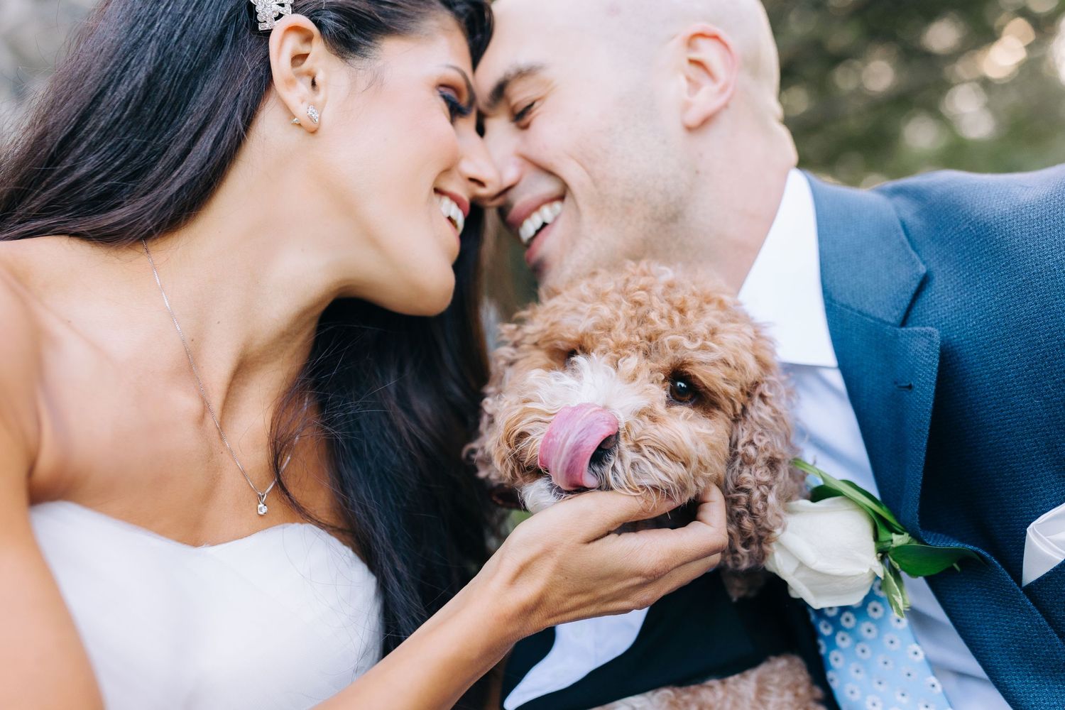 Happy couple holding their small brown poodle during wedding photos.