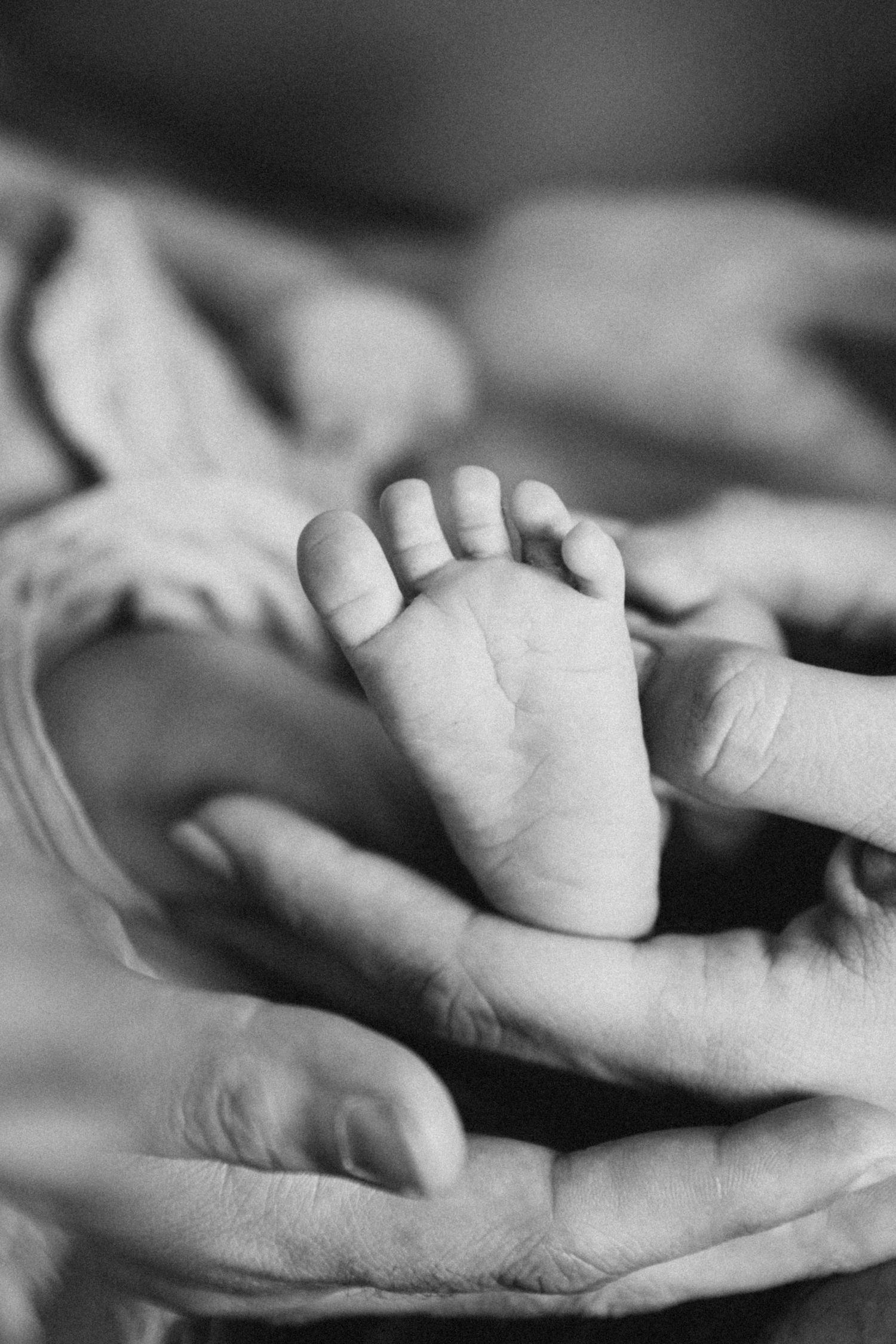 Close-up black and white image of a tiny baby foot being held by gentle hands.