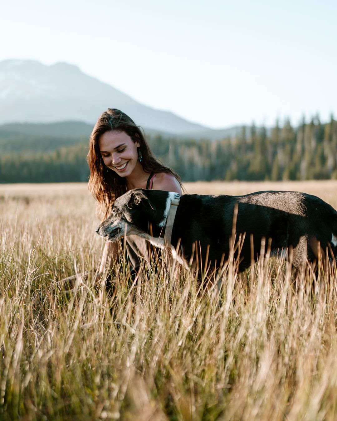 Avery darling photo hangs with her black and white dog in a sunny mountain meadow with evergreens.