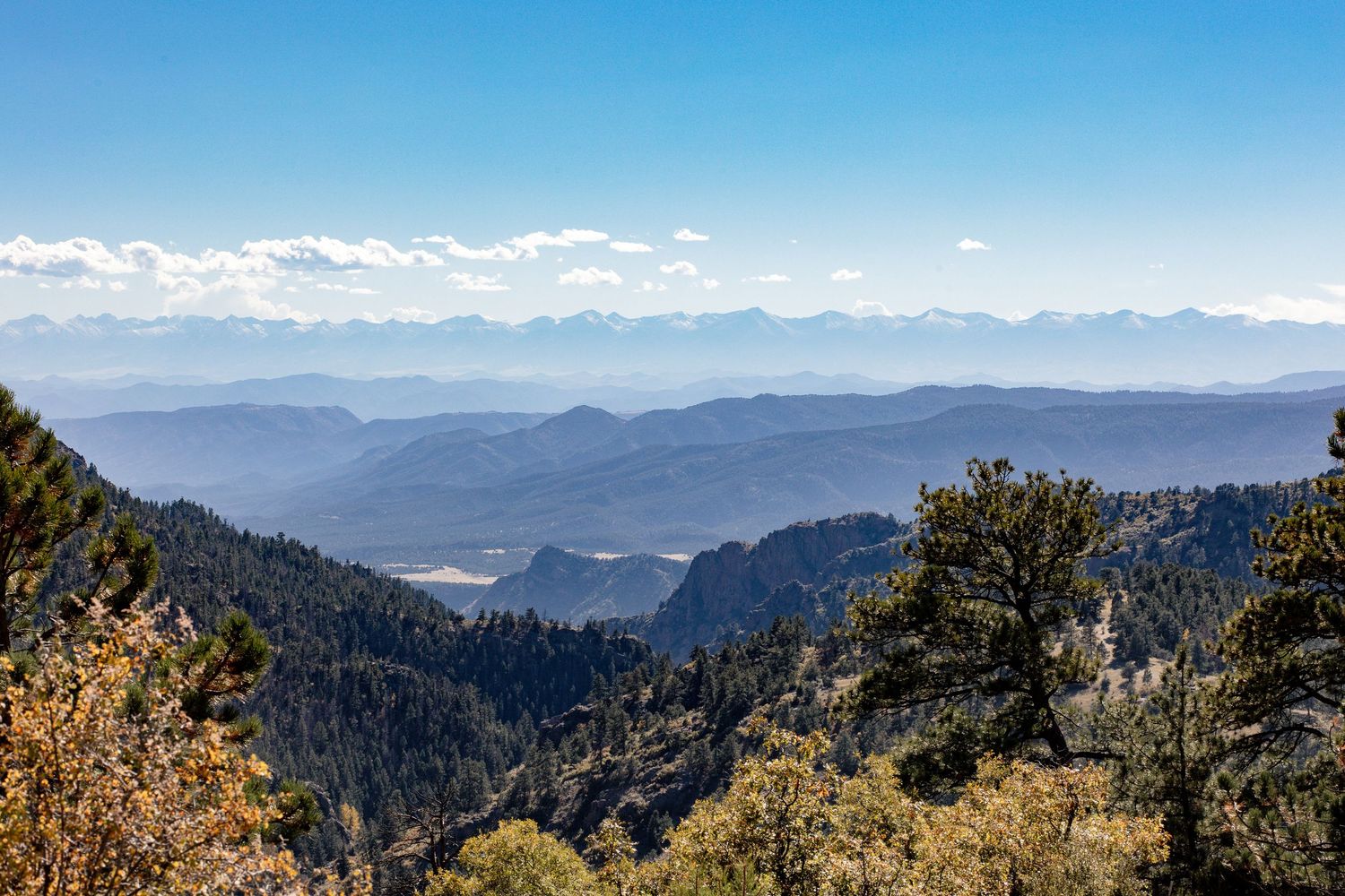 Scenic mountain landscape view with layered blue ridges and evergreen forests under a bright clear sky.