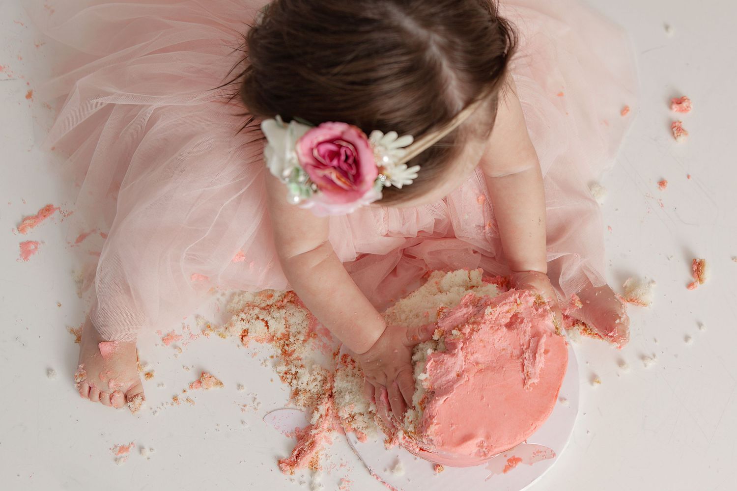 Cake Smash West Lafayette, Indiana