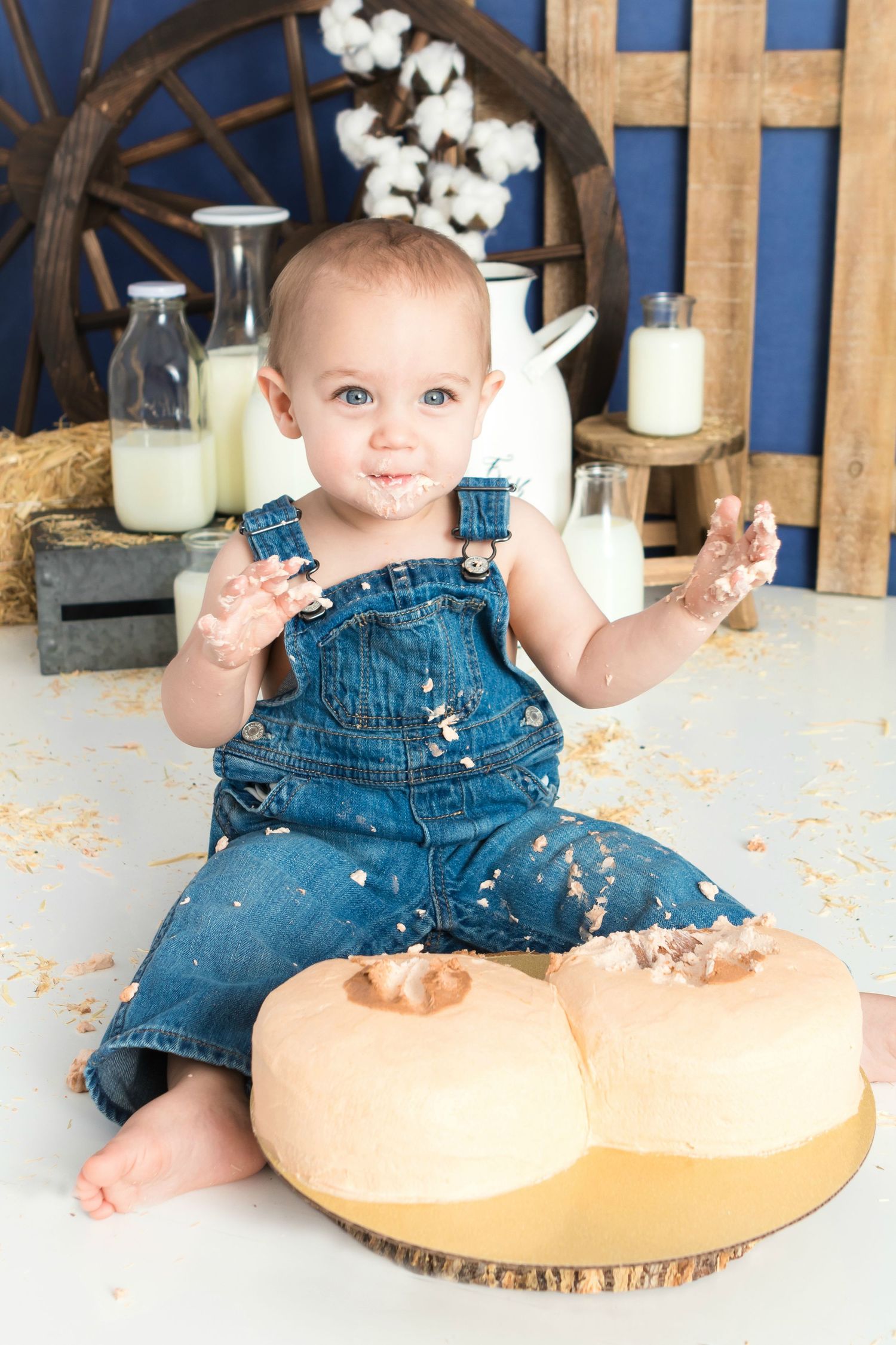 Cake Smash West Lafayette, Indiana