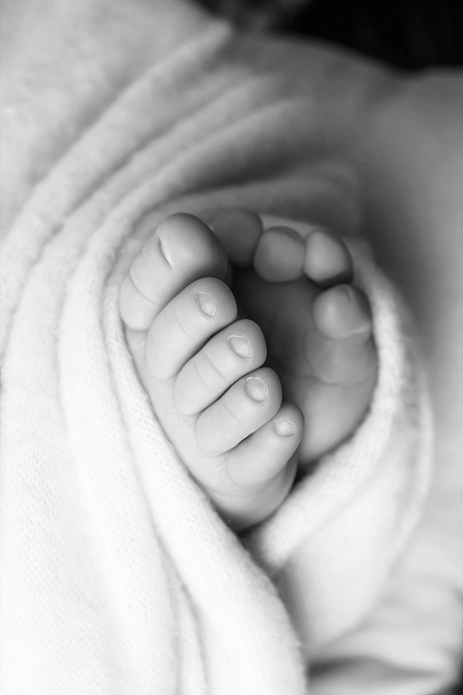 Newborn Photography West Lafayette, Indiana