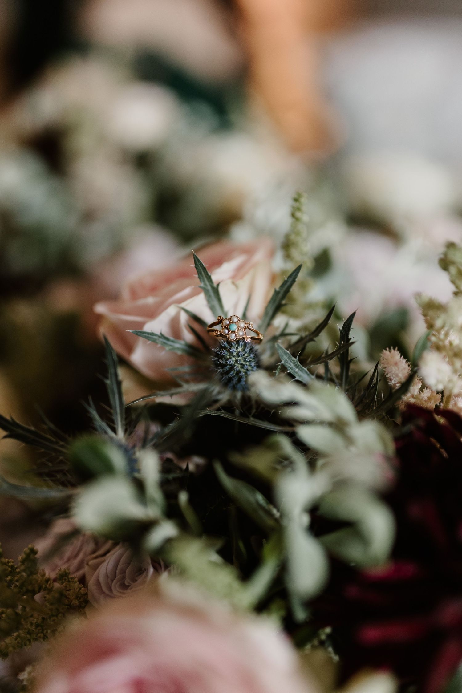 Macro photo of a delicate thistle flower with soft pink petals and green foliage in shallow depth of field.