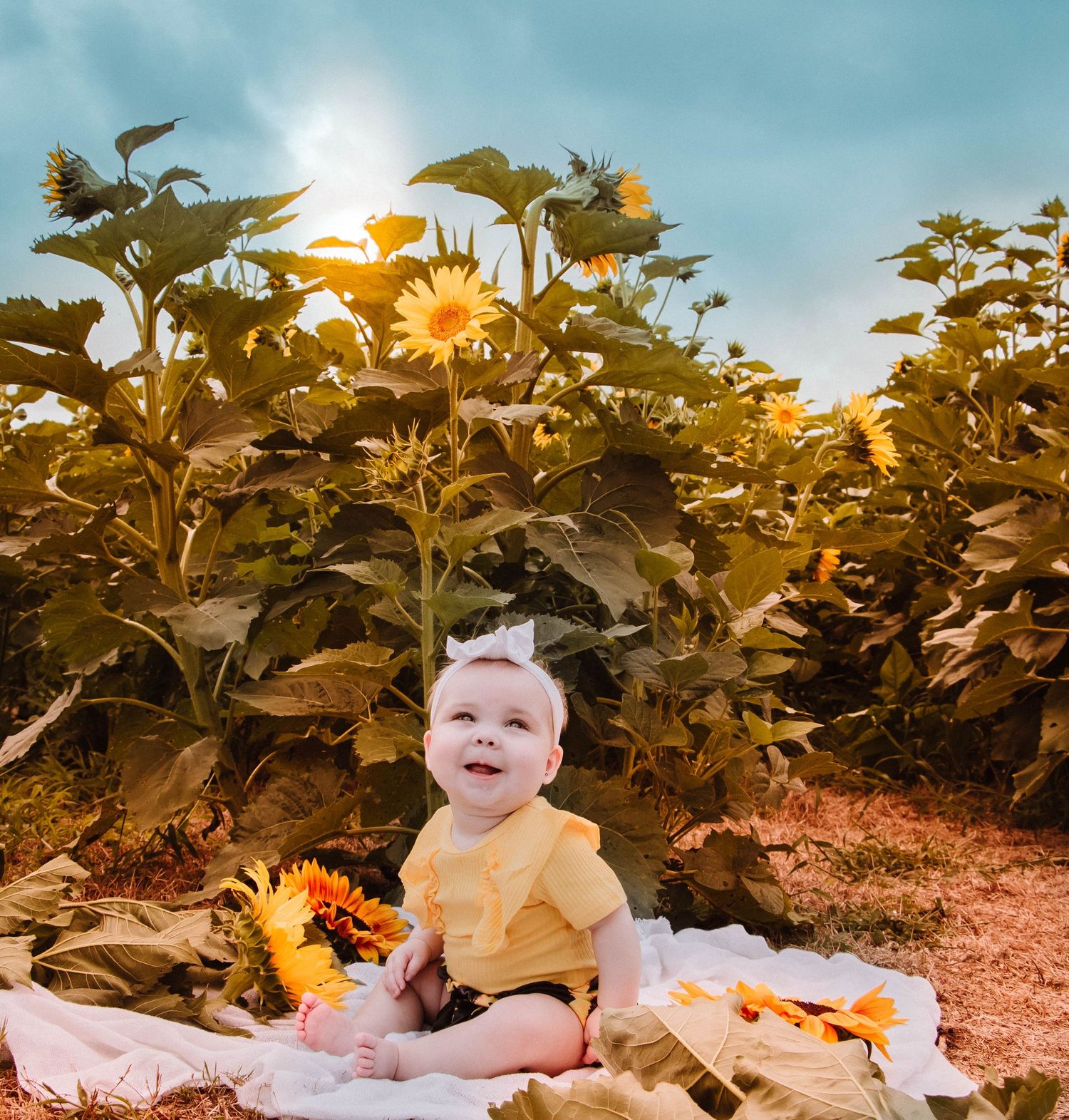 Family Session
Kids Session
Sunflower Field