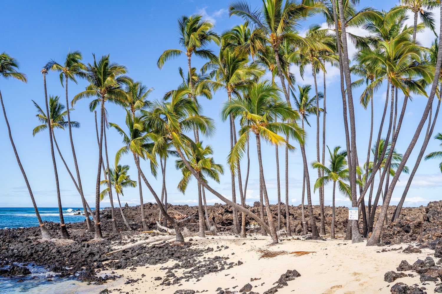 Kailua Kona beach wedding photographer Hawaii