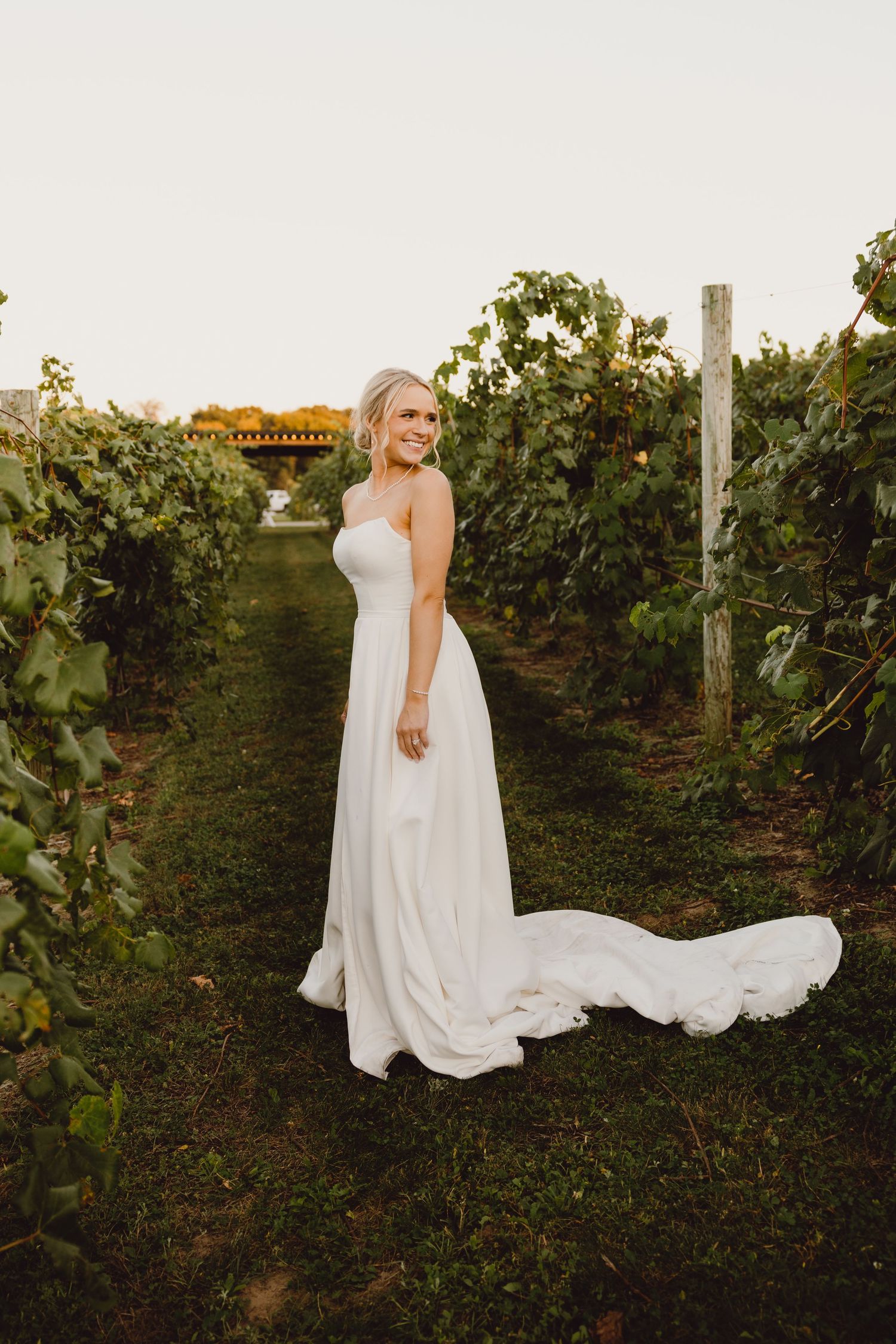 A flowing white wedding dress with a long train trails behind in rows of autumnal vineyard vines at sunset.