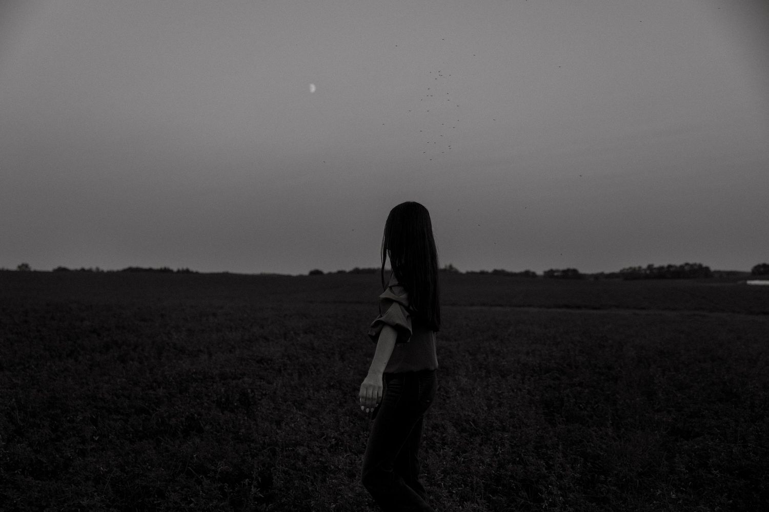 Dark silhouette of a person standing in an open field at dusk against a moody twilight sky.