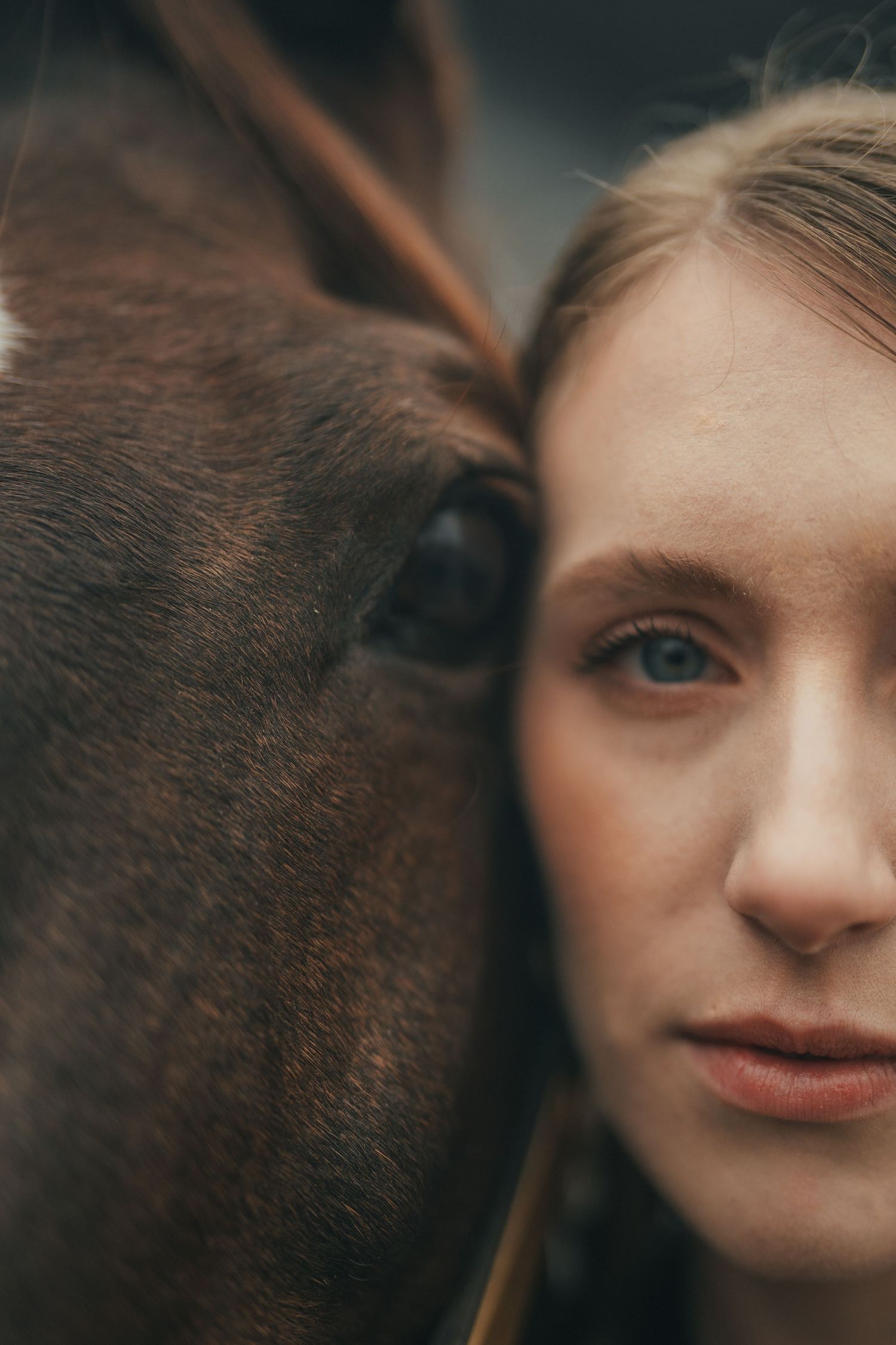 Close-up portrait showing half a face next to a brown horse's face in an intimate and artistic composition.