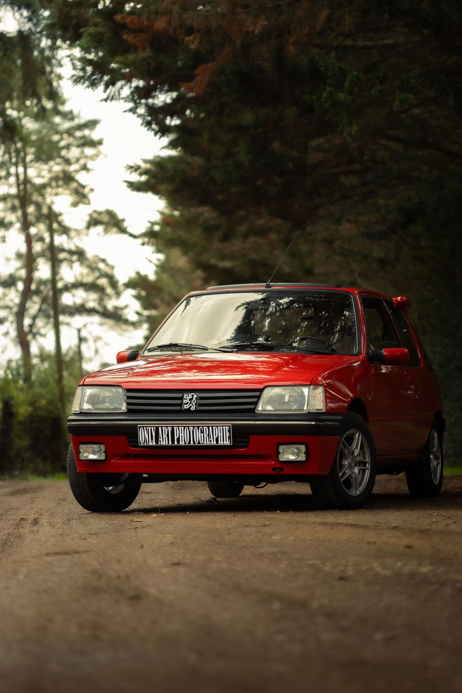 Voiture de collection sous les arbres