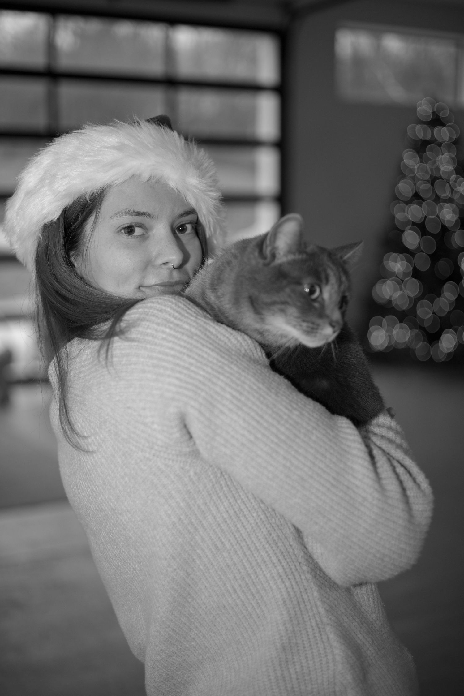 A grey cat being cuddled in a cozy winter sweater with a festive Christmas tree in the background.