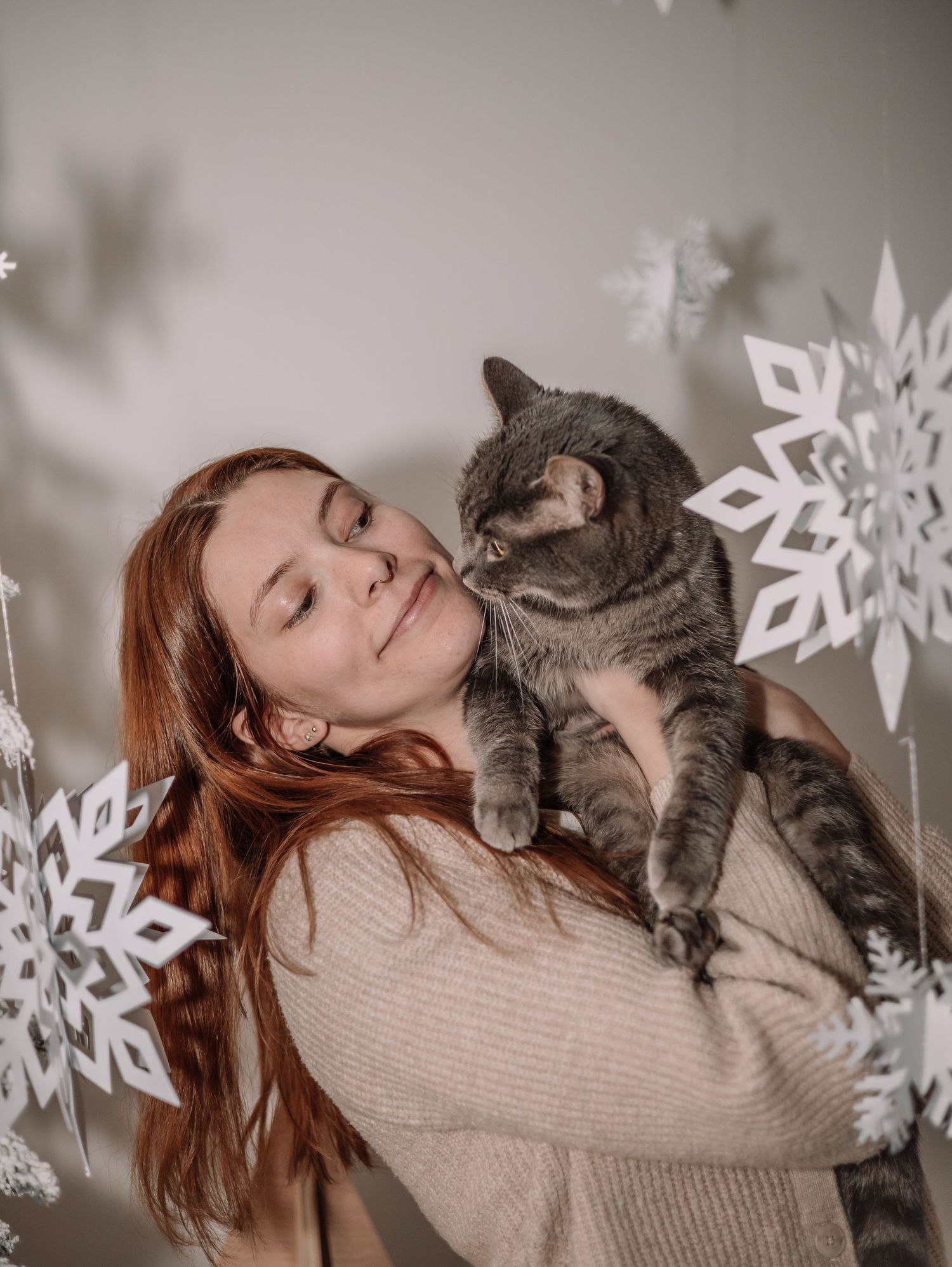 A grey striped cat being held against a backdrop of white snowflake decorations.