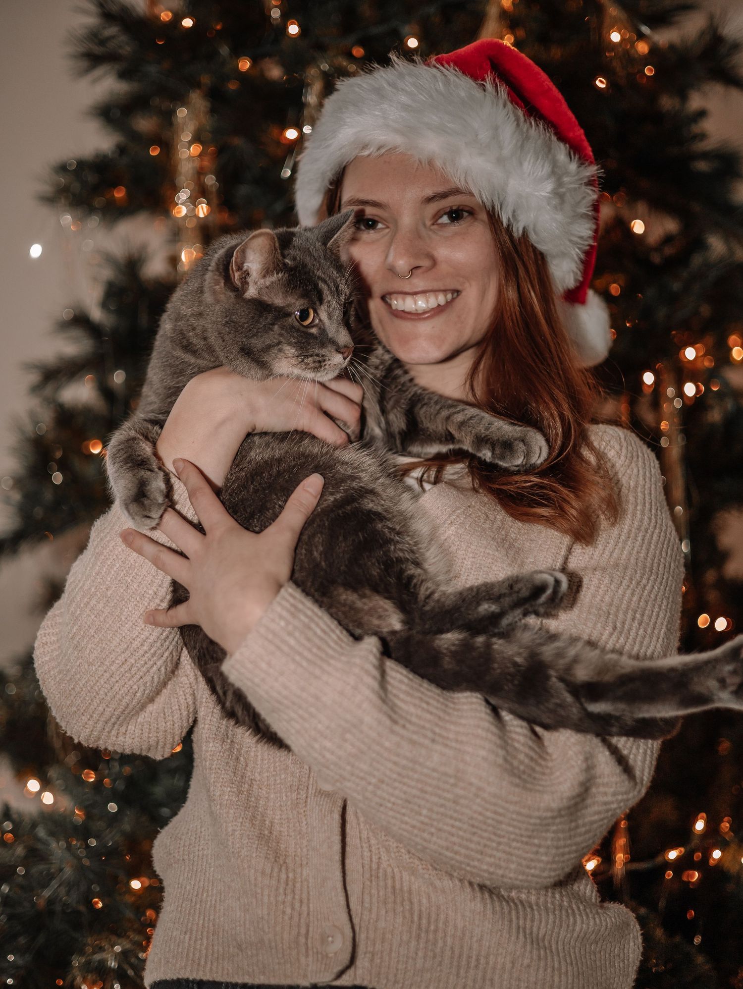 Person in Santa hat and beige sweater holds grey cat in front of decorated Christmas tree.